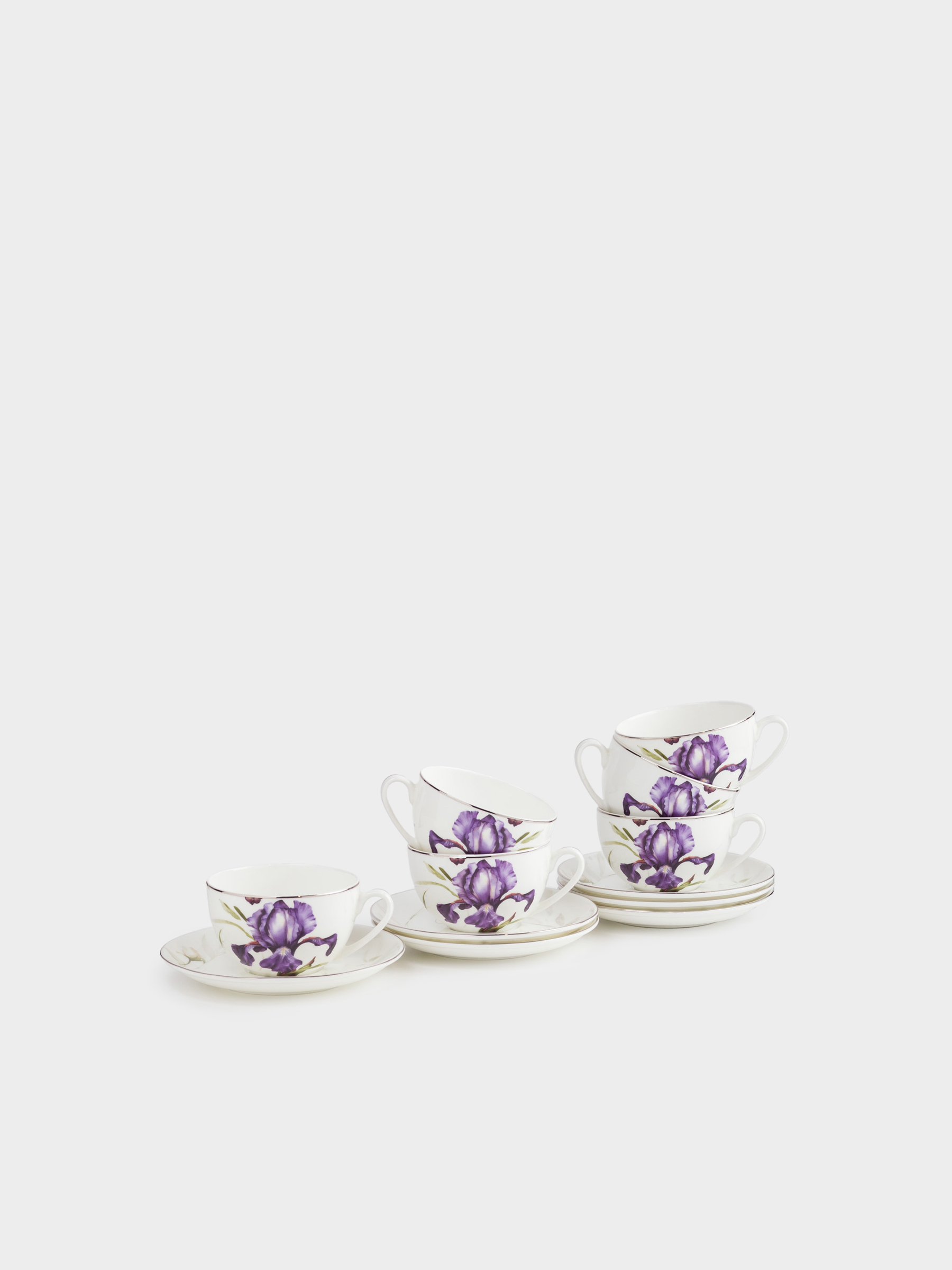 Пара чайная, на 6 персон, 300 мл, Ирис, Antarctica Flowers