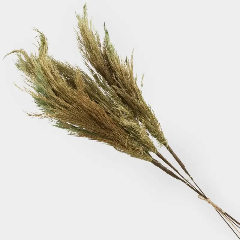 Ветка декоративная, 70 см, сухоцветы, Колосья, Dried flower, image-preview