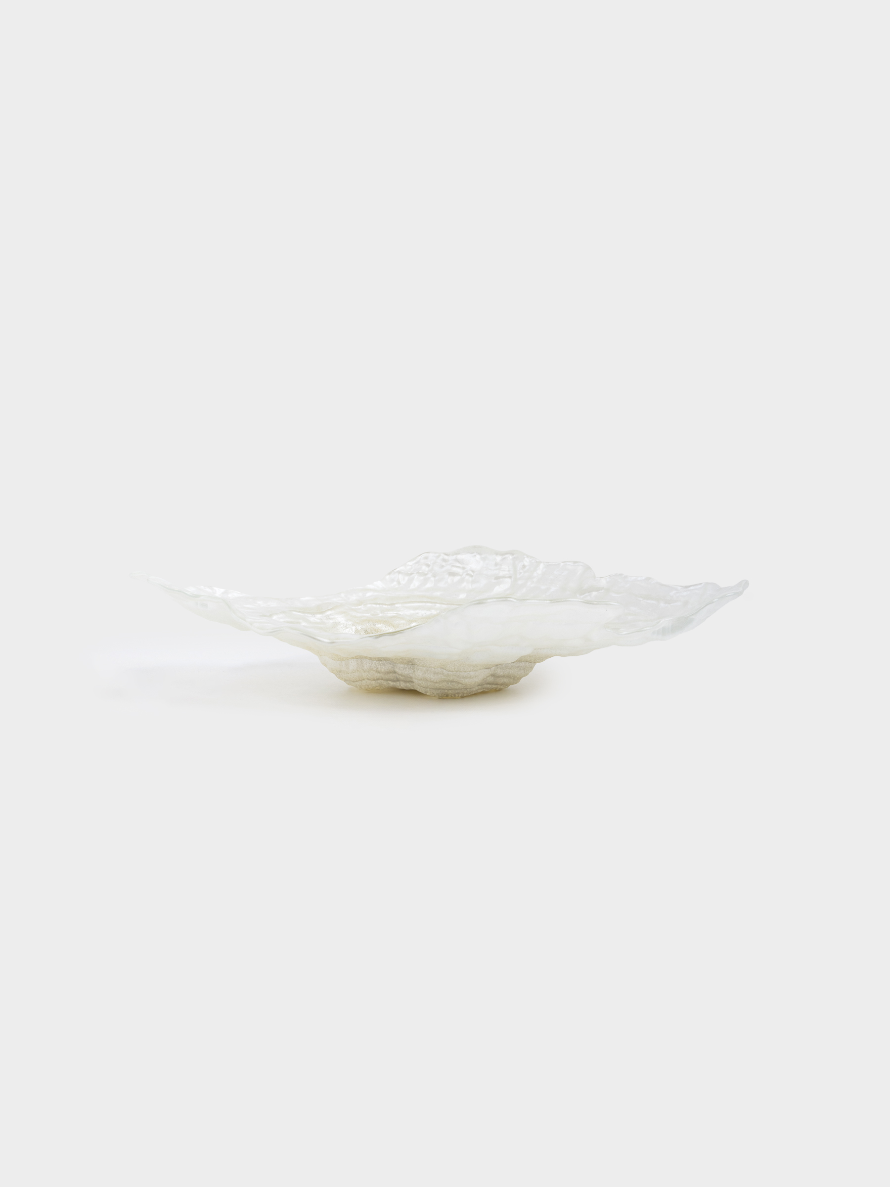 Блюдо, 38х29x7 см, стекло, молочное/шампань, Устрица, Shellfish, image-6