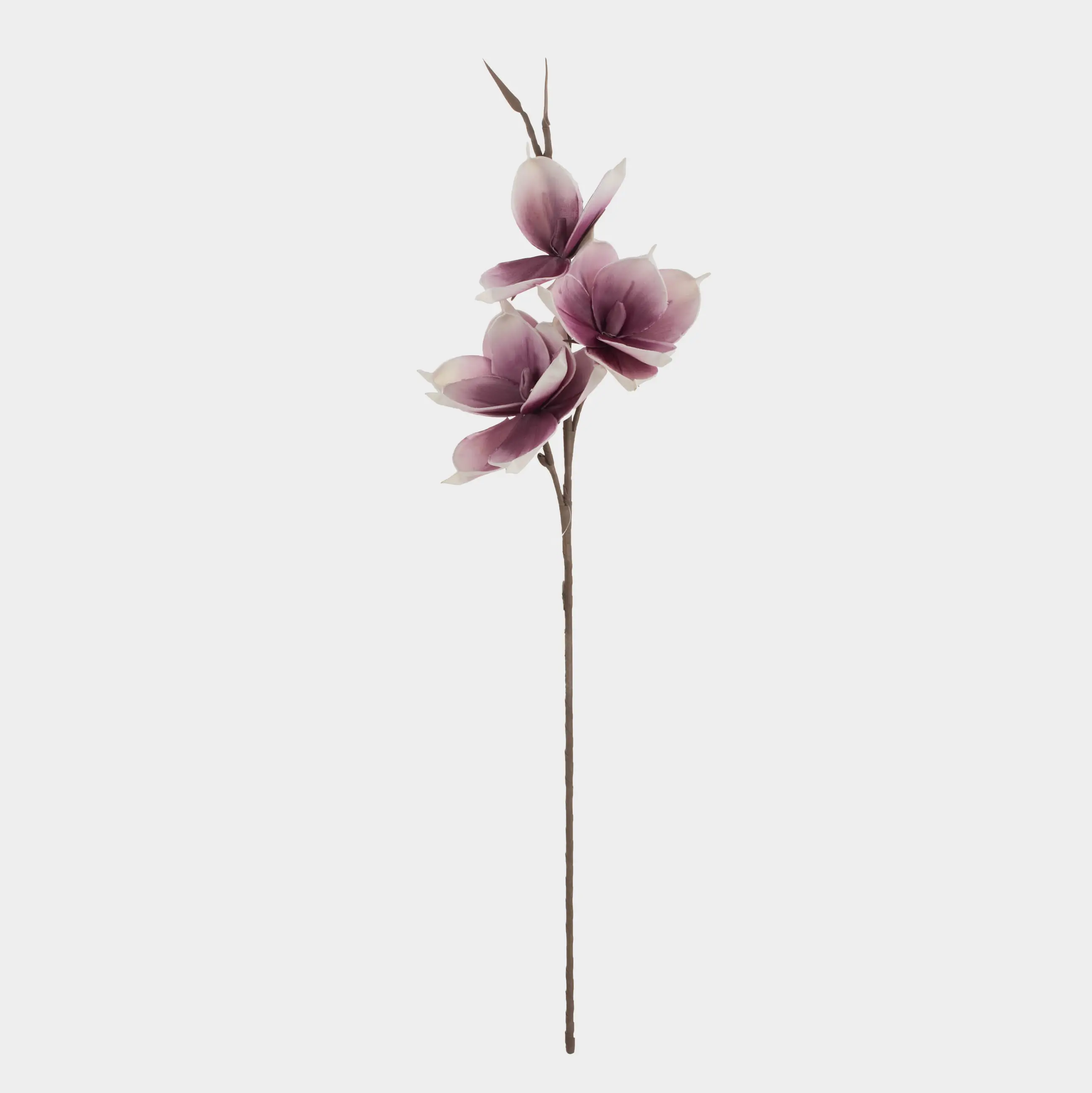 Ветка декоративная, 91 см, пенопласт/металл, Белая магнолия, Magnolia