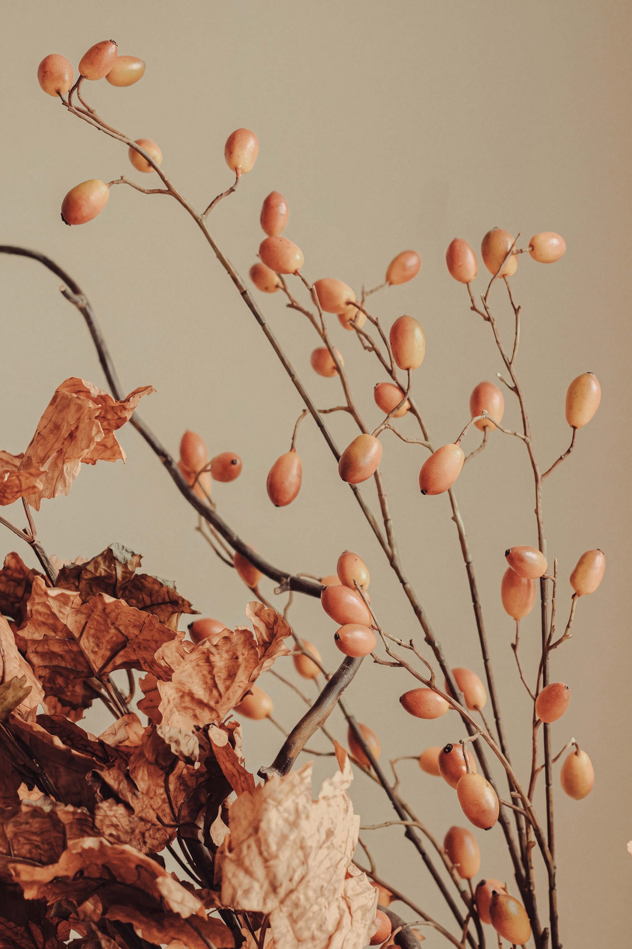 capsule-img