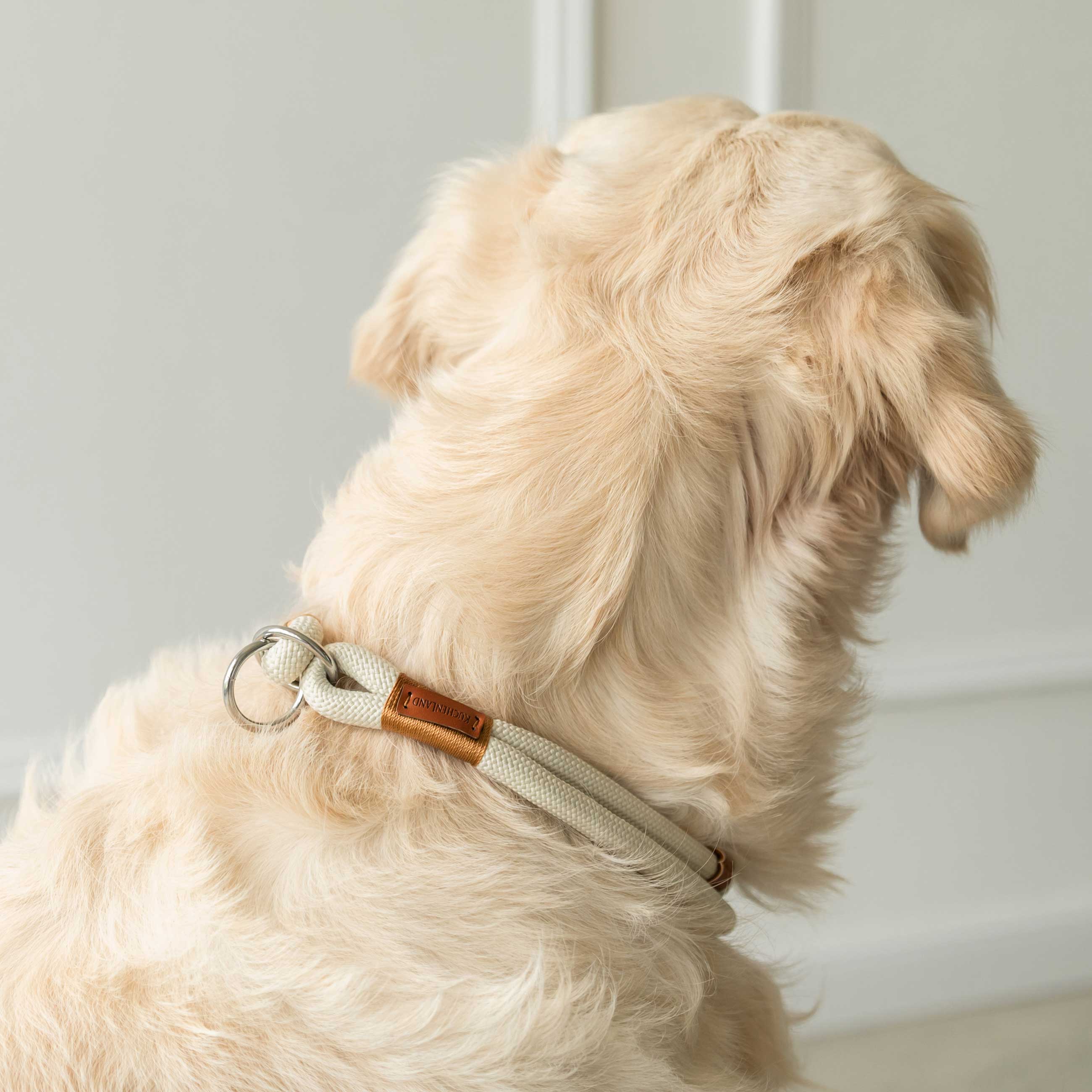 Ошейник-полуудавка для собак, 55 см, размер L, пластик эко, бежевый, Clever pet изображение № 3