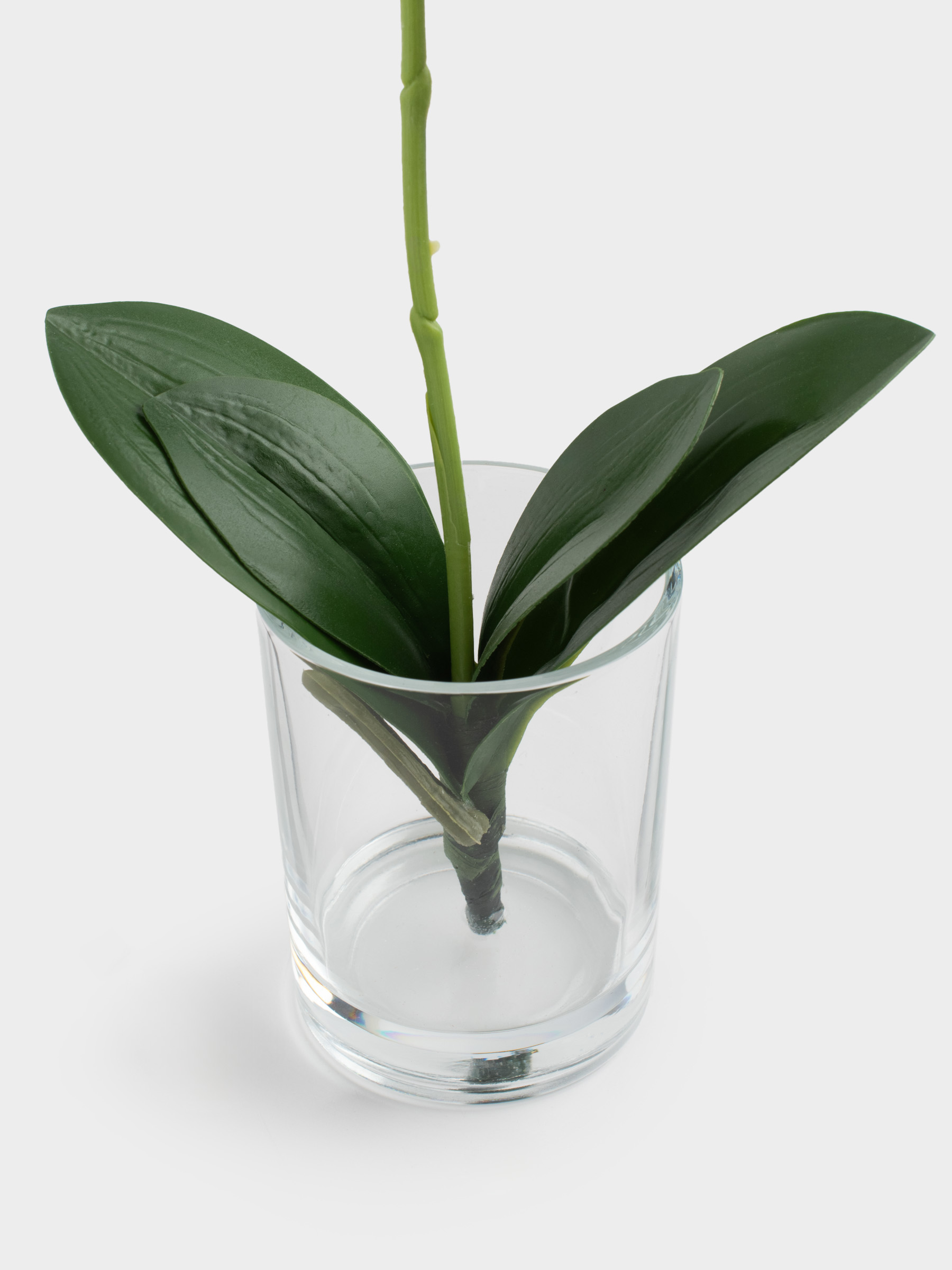 Букет искусственный, 26 см, в вазе, ТЭП/стекло, Белая орхидея, Orchid, image-2