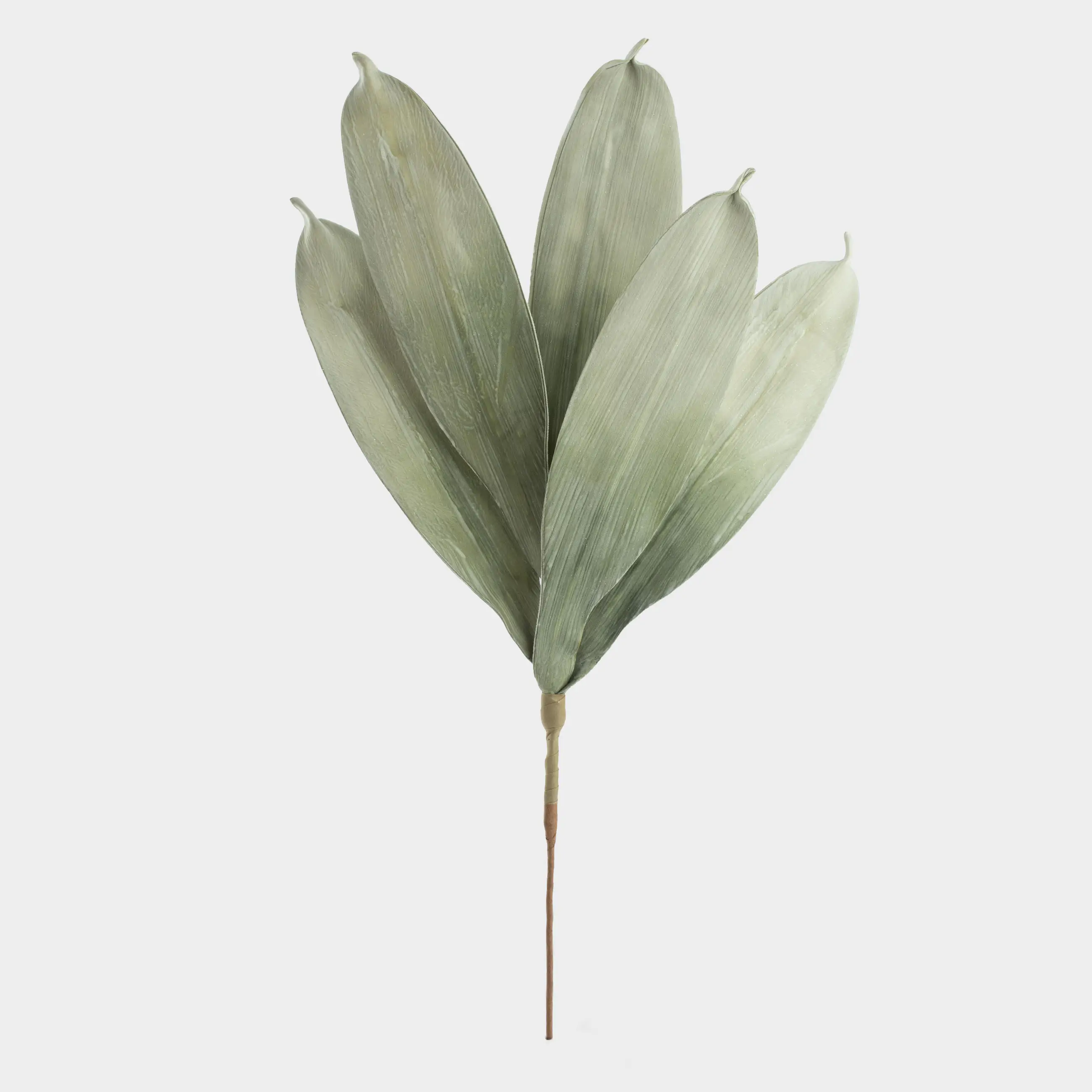 Ветка декоративная, 73 см, пенопласт/бумага, Зеленая аспидистра, Leafs decor, image-0
