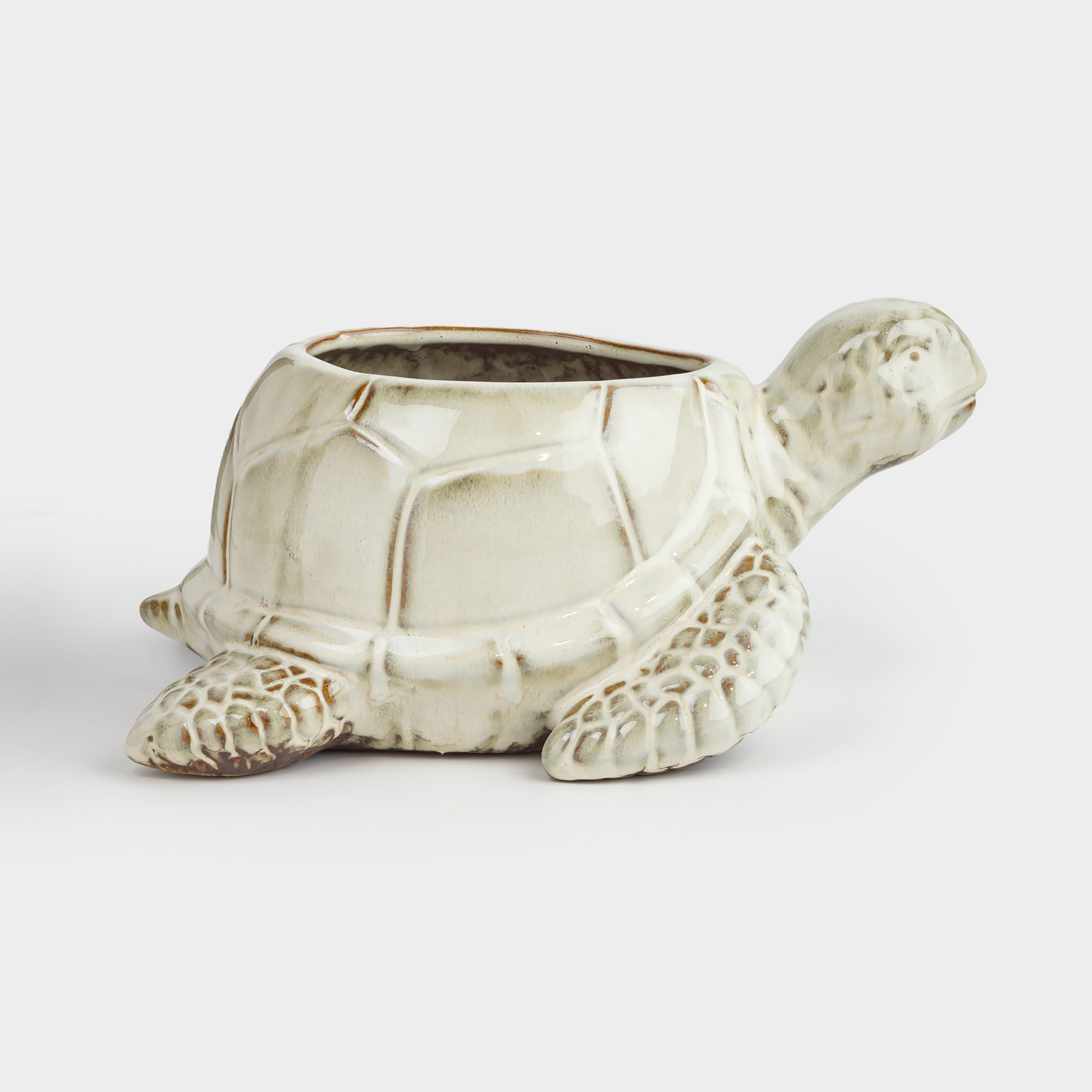 Конфетница 26х13 см фарфор P бежево-коричневая Черепаха Grand turtle 1693₽