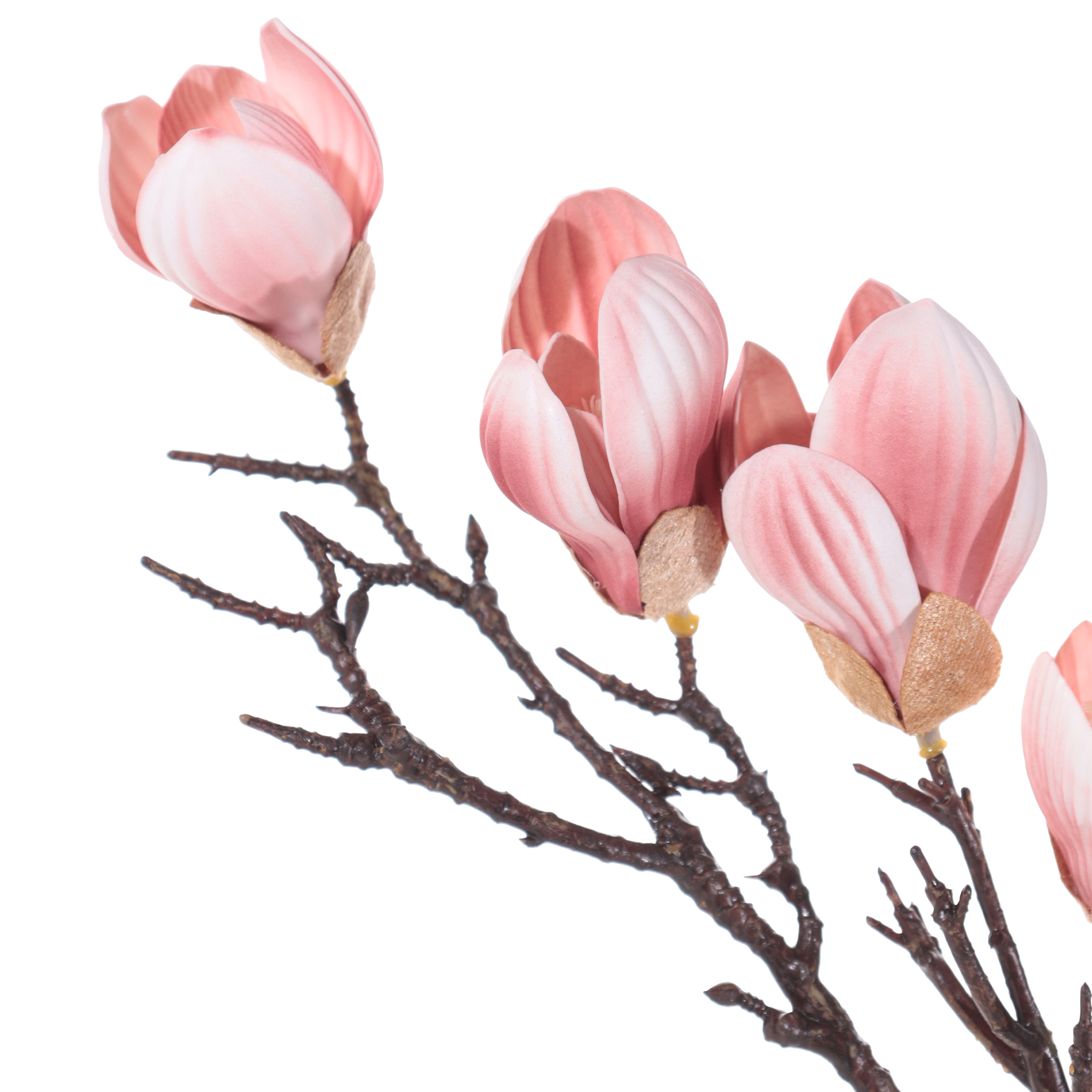 Ветка декоративная, 55 см, пластик/сталь, Розовая магнолия, Magnolia изображение № 2