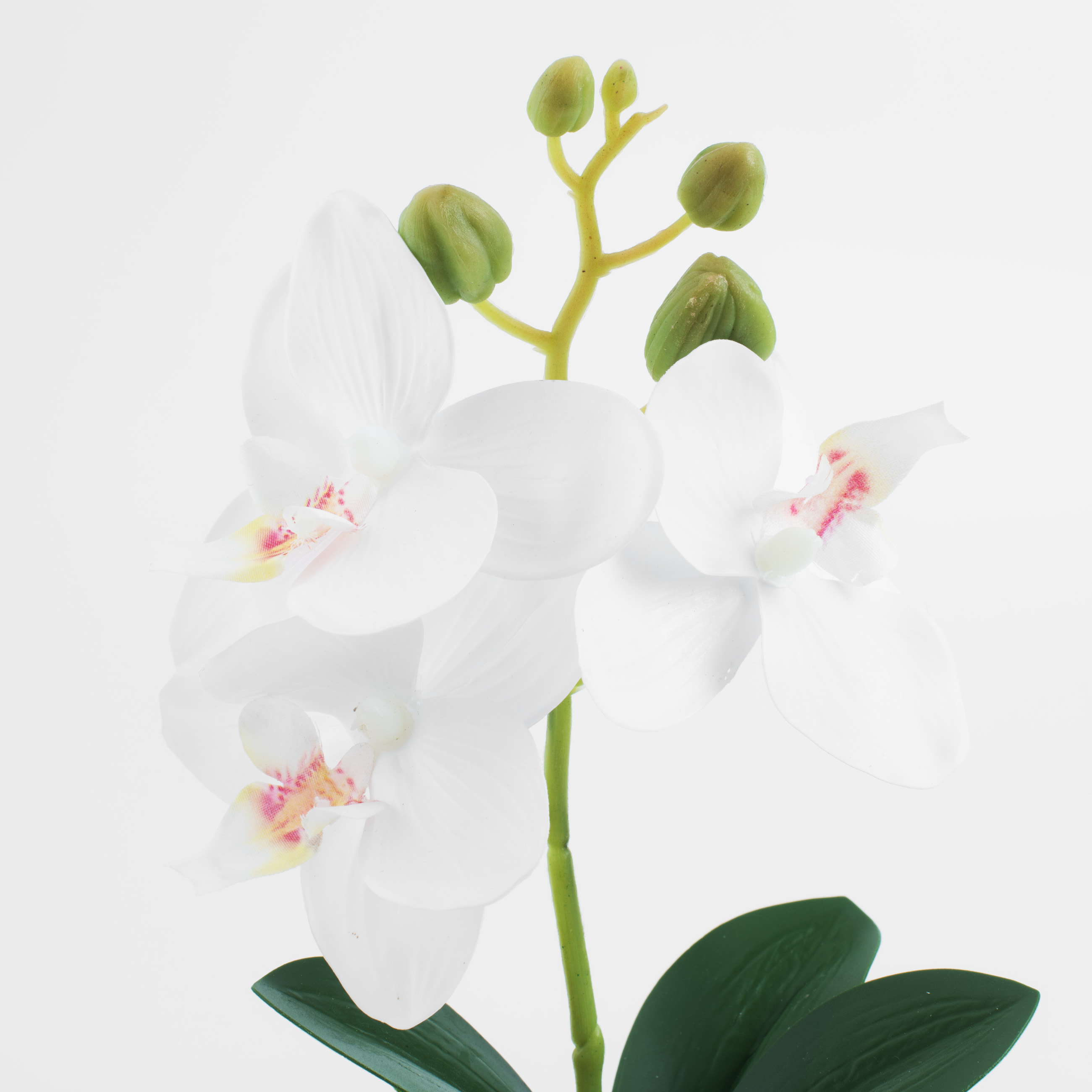 Растение искусственное, 25 см, в горшке, полиэстер/керамика, Белая орхидея, Orchid изображение № 2