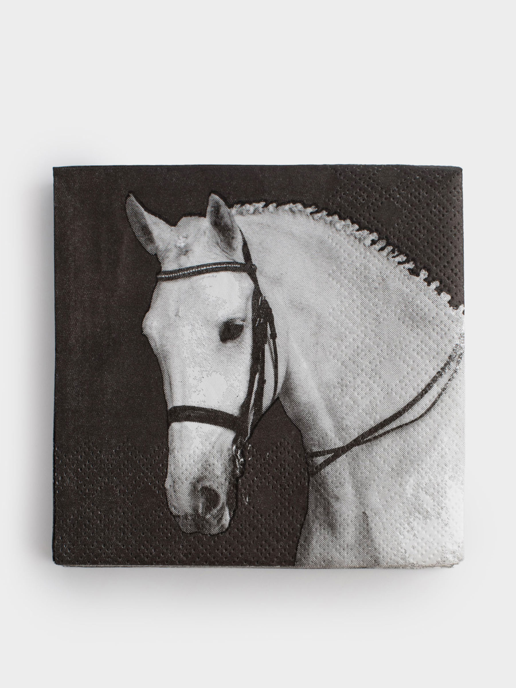 Салфетки бумажные, 21х21 см, 20 шт, квадратные, черные, Лошадь, Horse, image-0