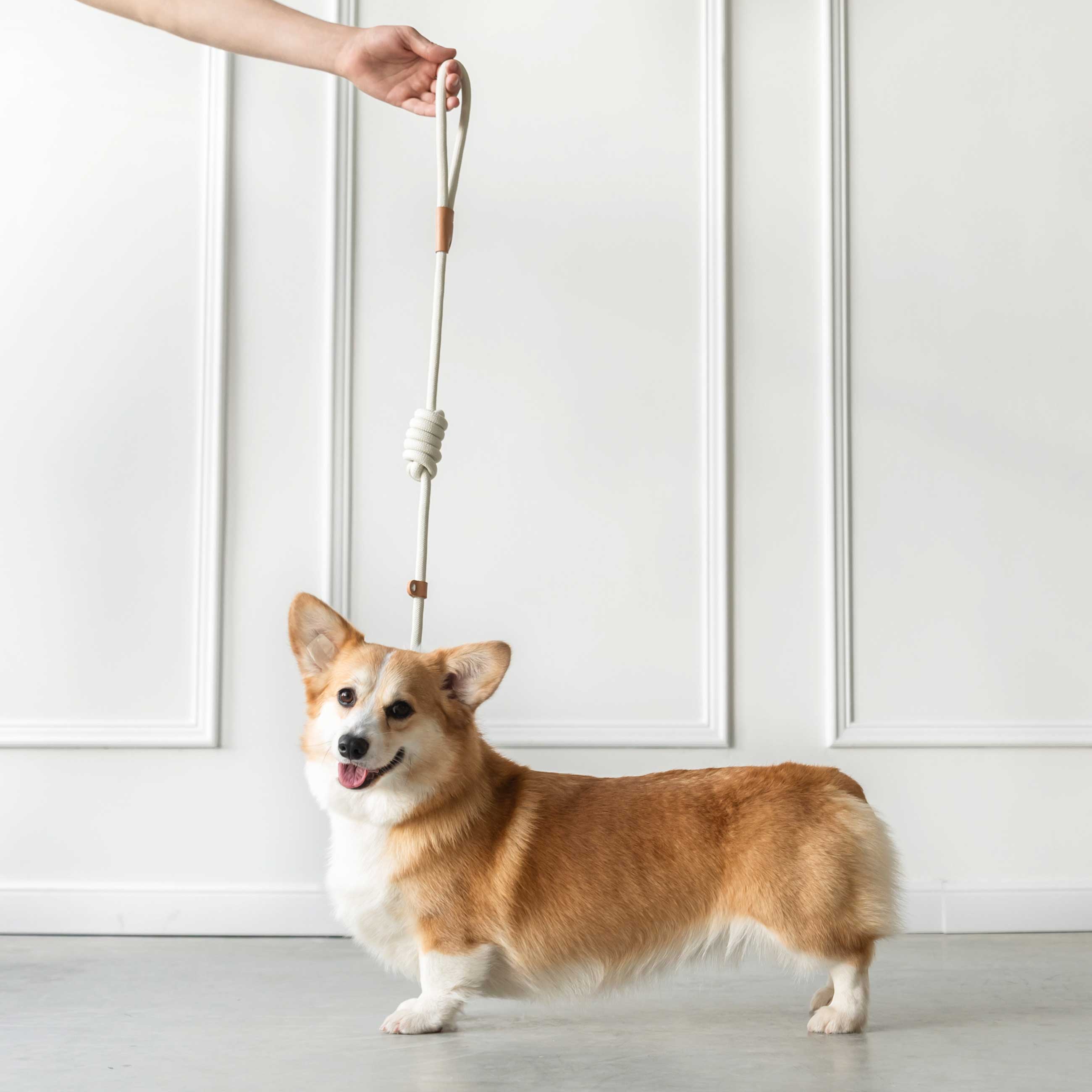 Поводок-полуудавка для собак, 1,7 м, пластик эко, бежевый, Clever pet изображение № 2