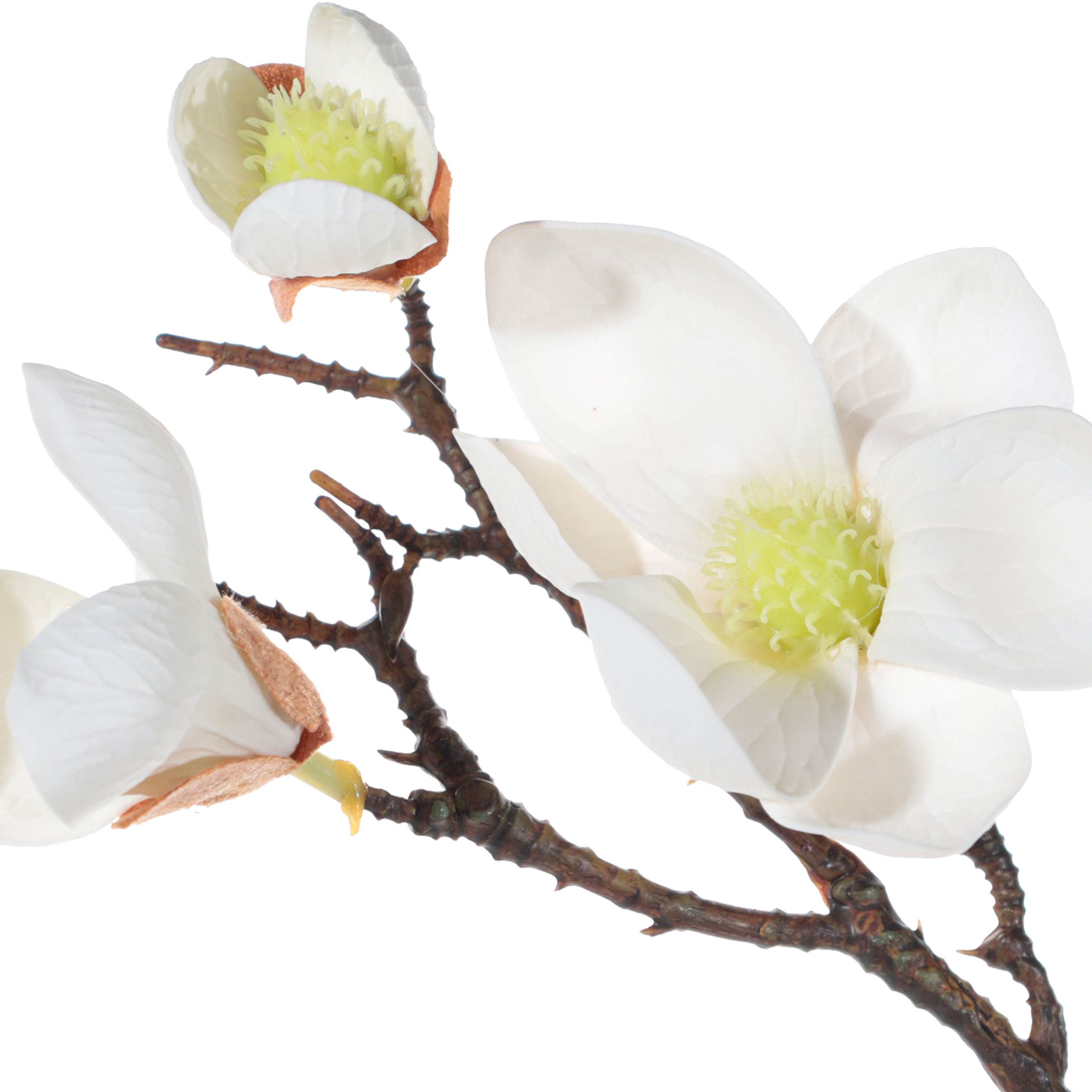 Ветка декоративная, 42 см, пластик/сталь, Белая магнолия, Magnolia изображение № 2