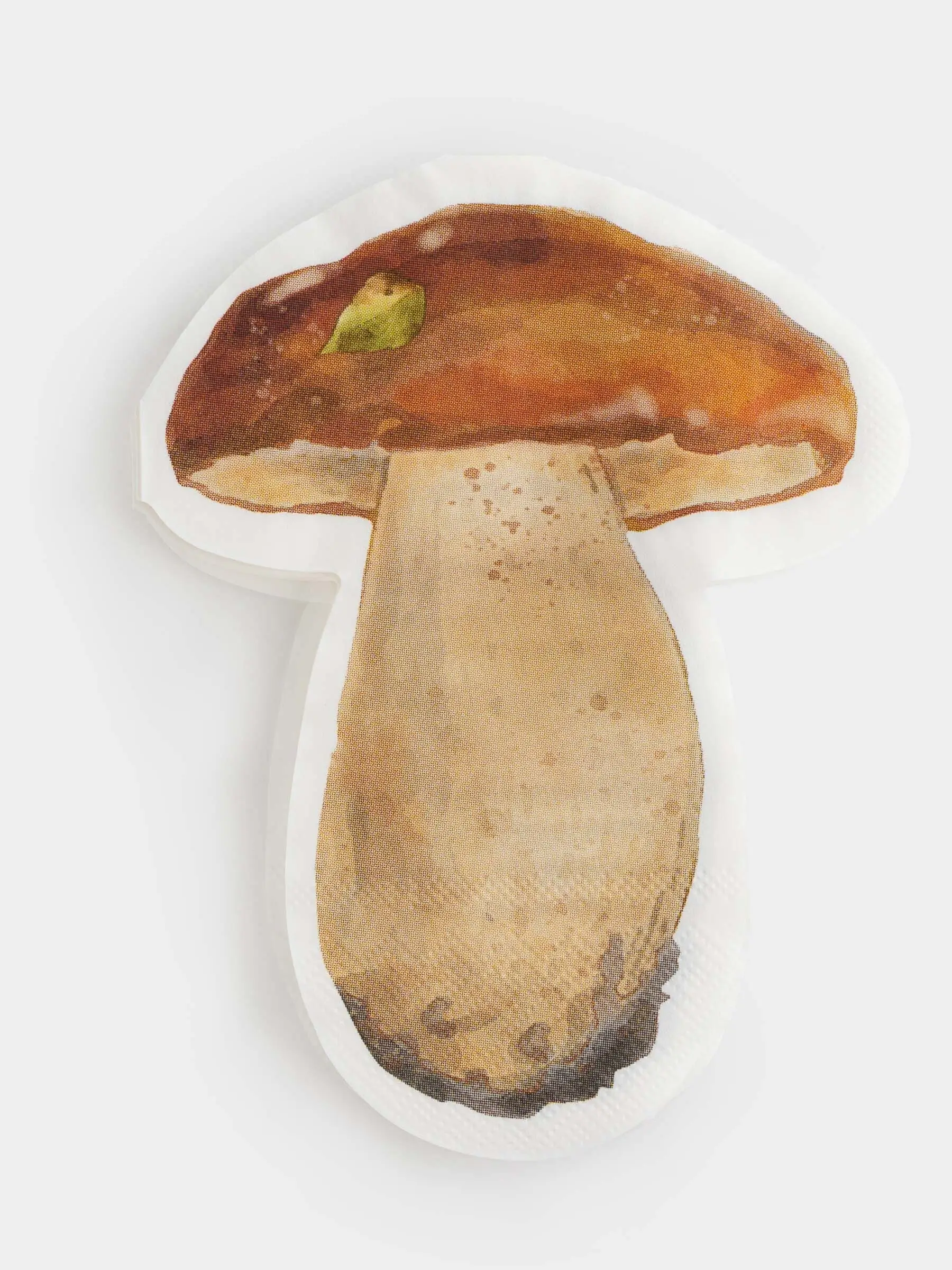 Салфетки бумажные, 25х32 см, 20 шт, фигурные, коричневые, Гриб, Fungi