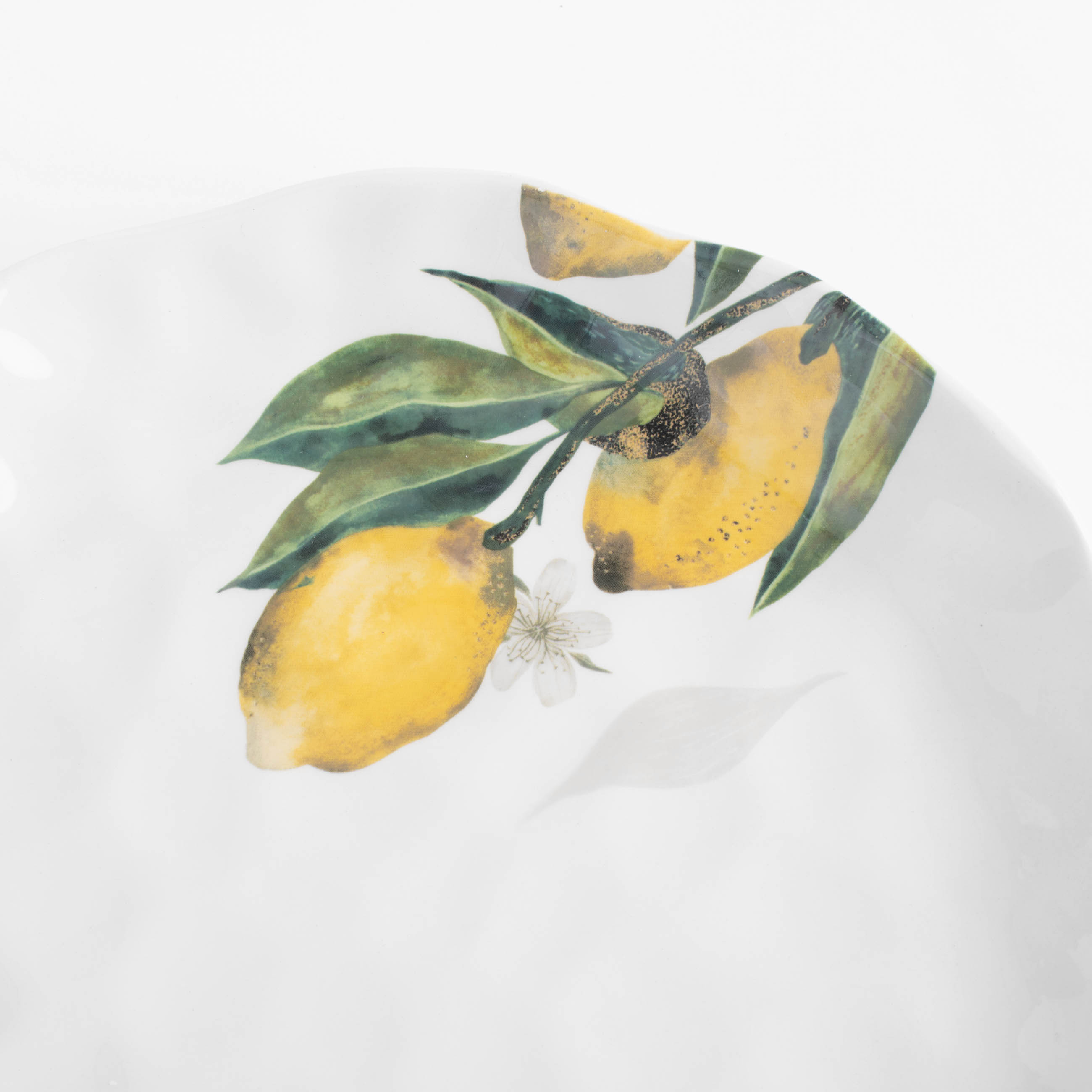 Тарелка обеденная, 27 см, керамика, белая, Лимоны на ветке, Sicily in bloom изображение № 4