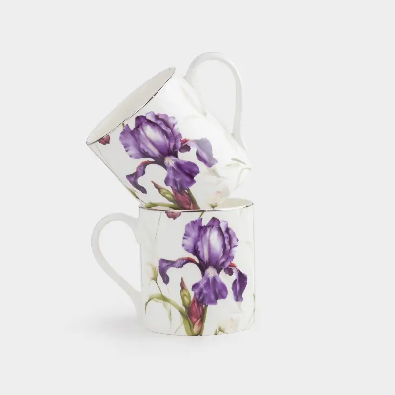 Кружка, 380 мл, 2 шт, фарфор F, белая, с серебристым кантом, Ирис, Antarctica Flowers ,image-0