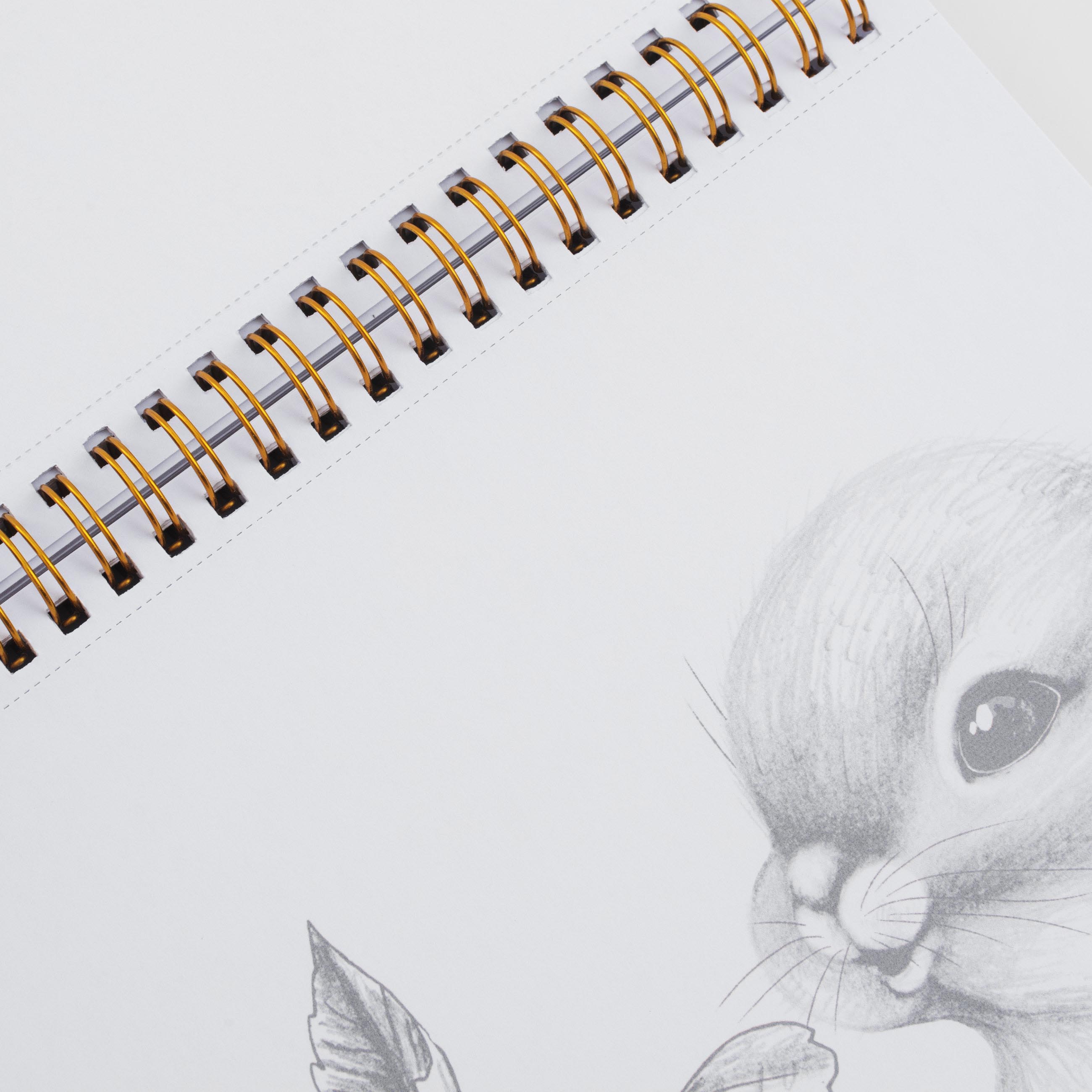 Альбом для раскрашивания, 21х21 см, 24 листа, на кольцах, Животные, Draw creative, image-6