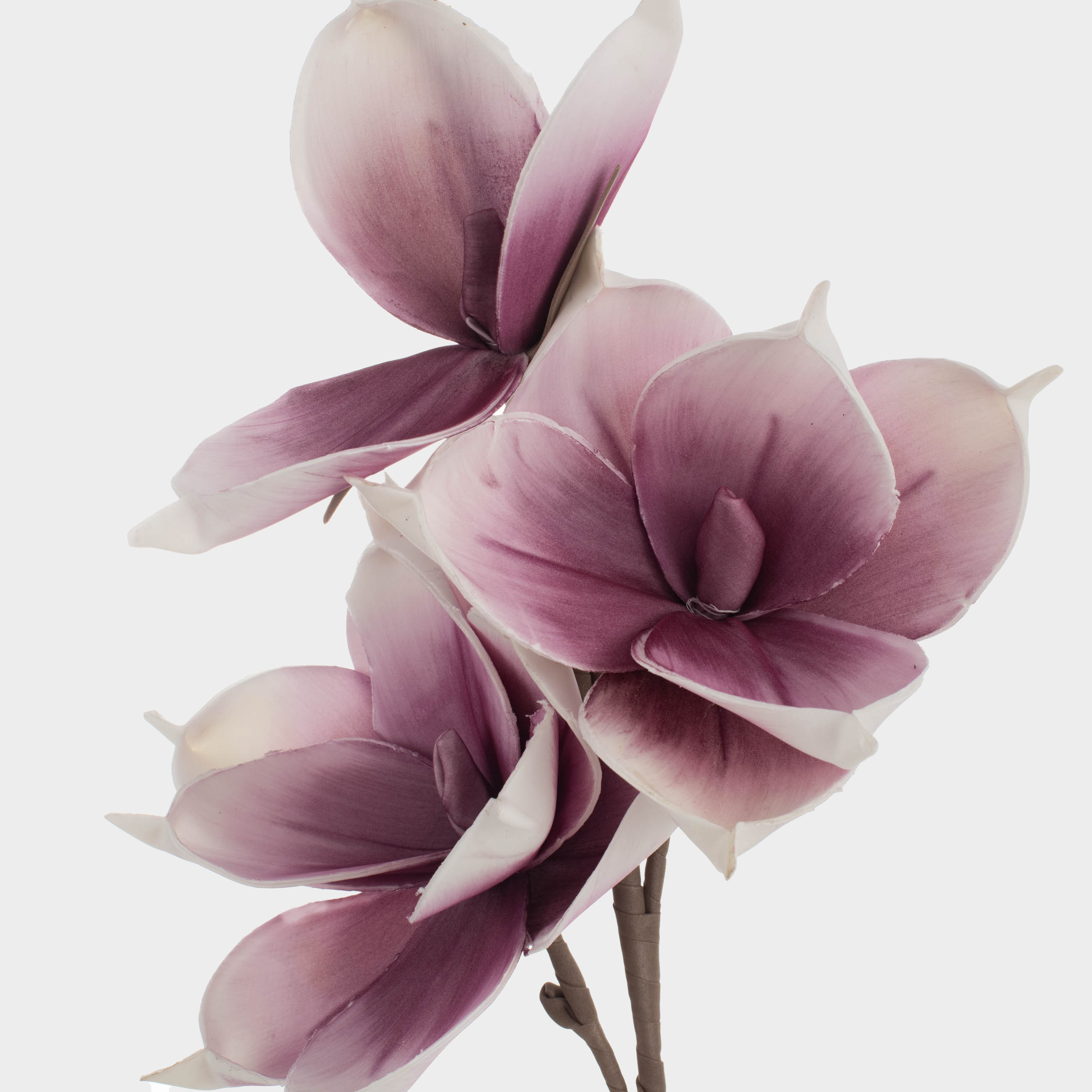 Ветка декоративная, 91 см, пенопласт/металл, Белая магнолия, Magnolia, image-2