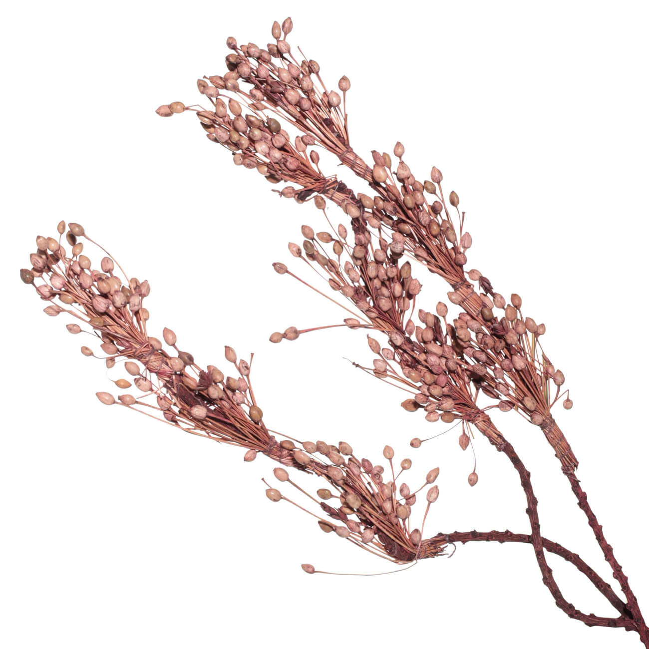 Ветка декоративная, 60 см, сухоцветы, Розовые плоды, Dried flower декоративная панель hiwood