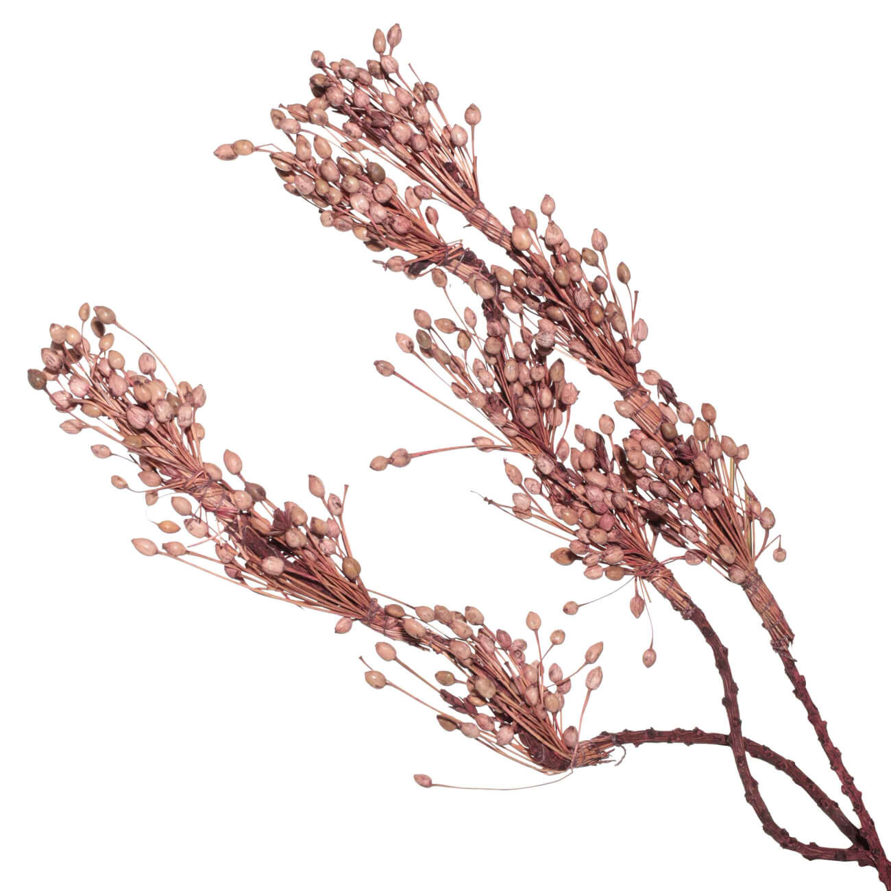 

Ветка декоративная, 60 см, сухоцветы, Розовые плоды, Dried flower