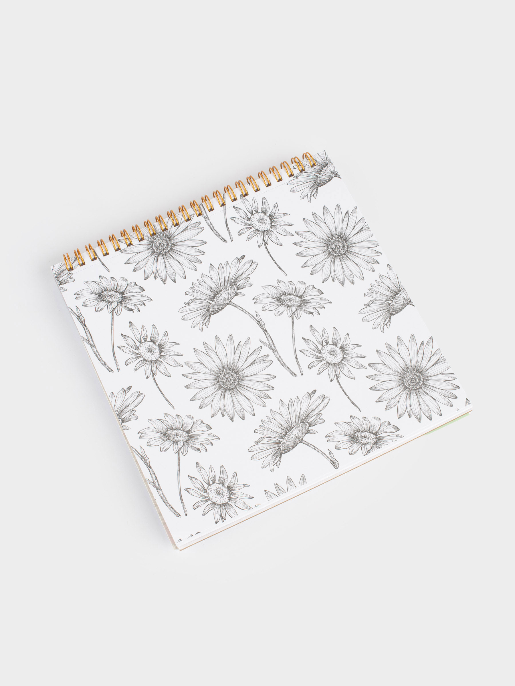 Альбом для раскрашивания, 21х21 см, 24 листа, на кольцах, Романтика, Draw creative, image-3