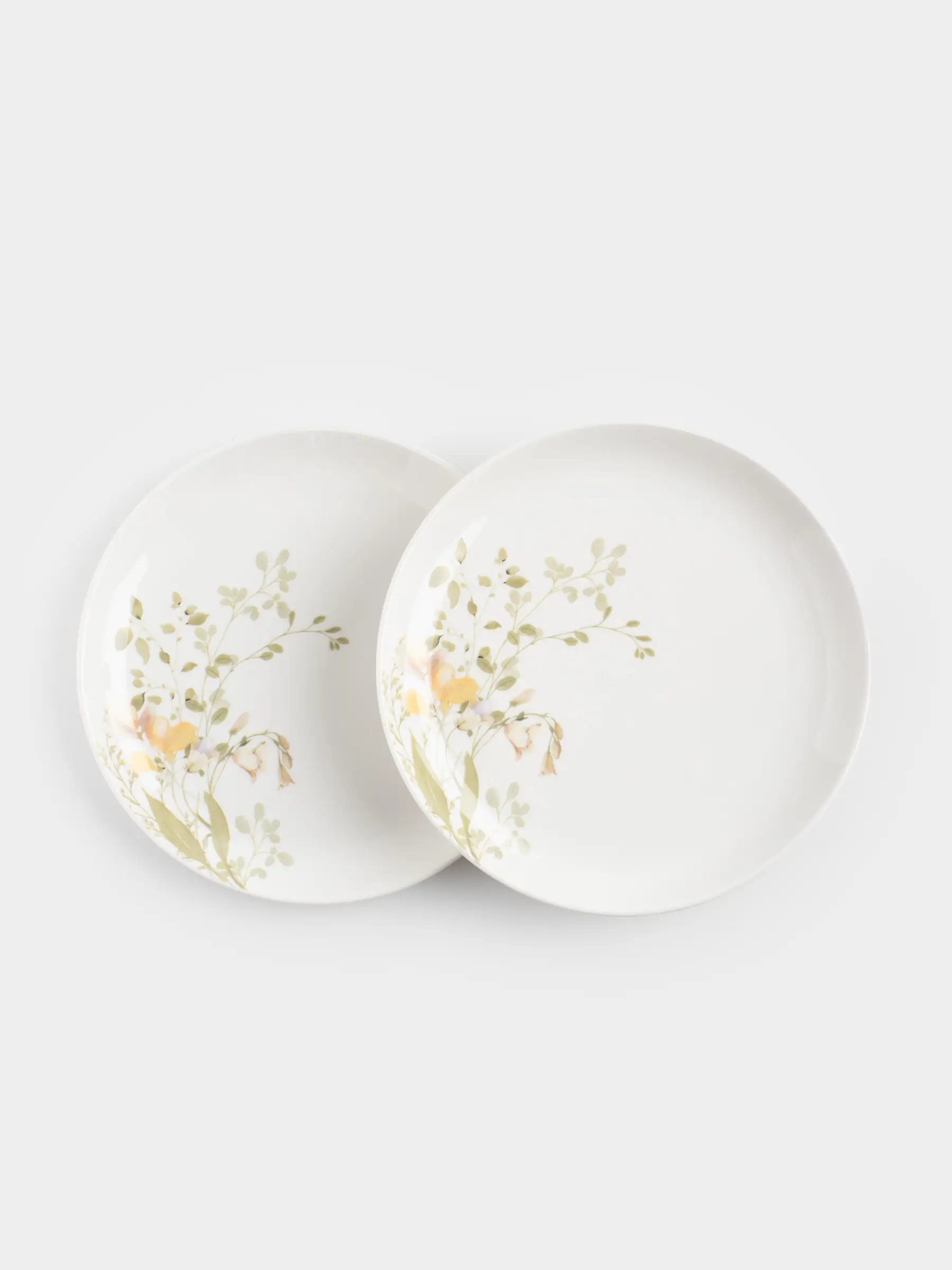 Тарелка закусочная, 21 см, 2 шт, фарфор N, белая, Цветы и листья, Floreale, image-0