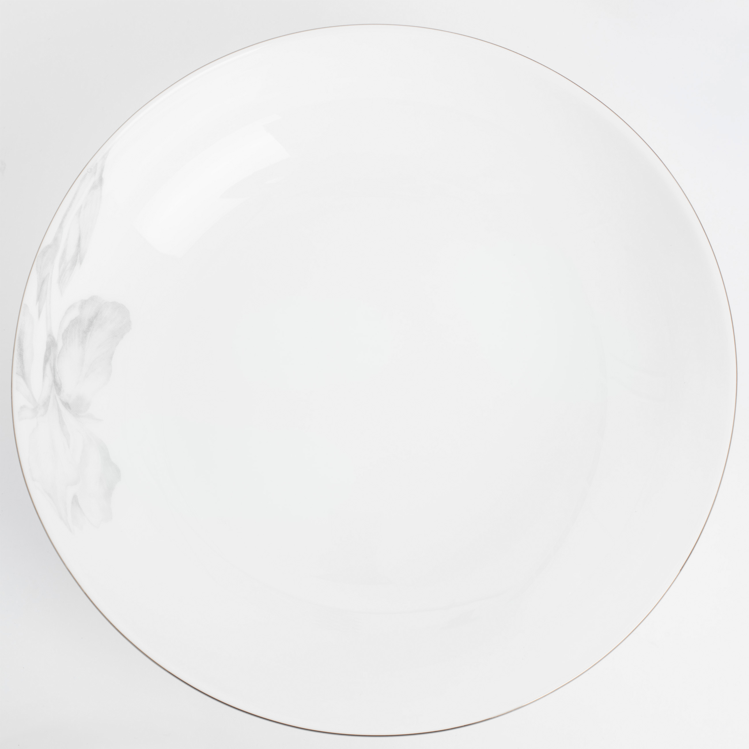 Тарелка суповая, 20х5 см, 2 шт, фарфор F, с серебристым кантом, Ирисы, Antarctica Flowers изображение № 5