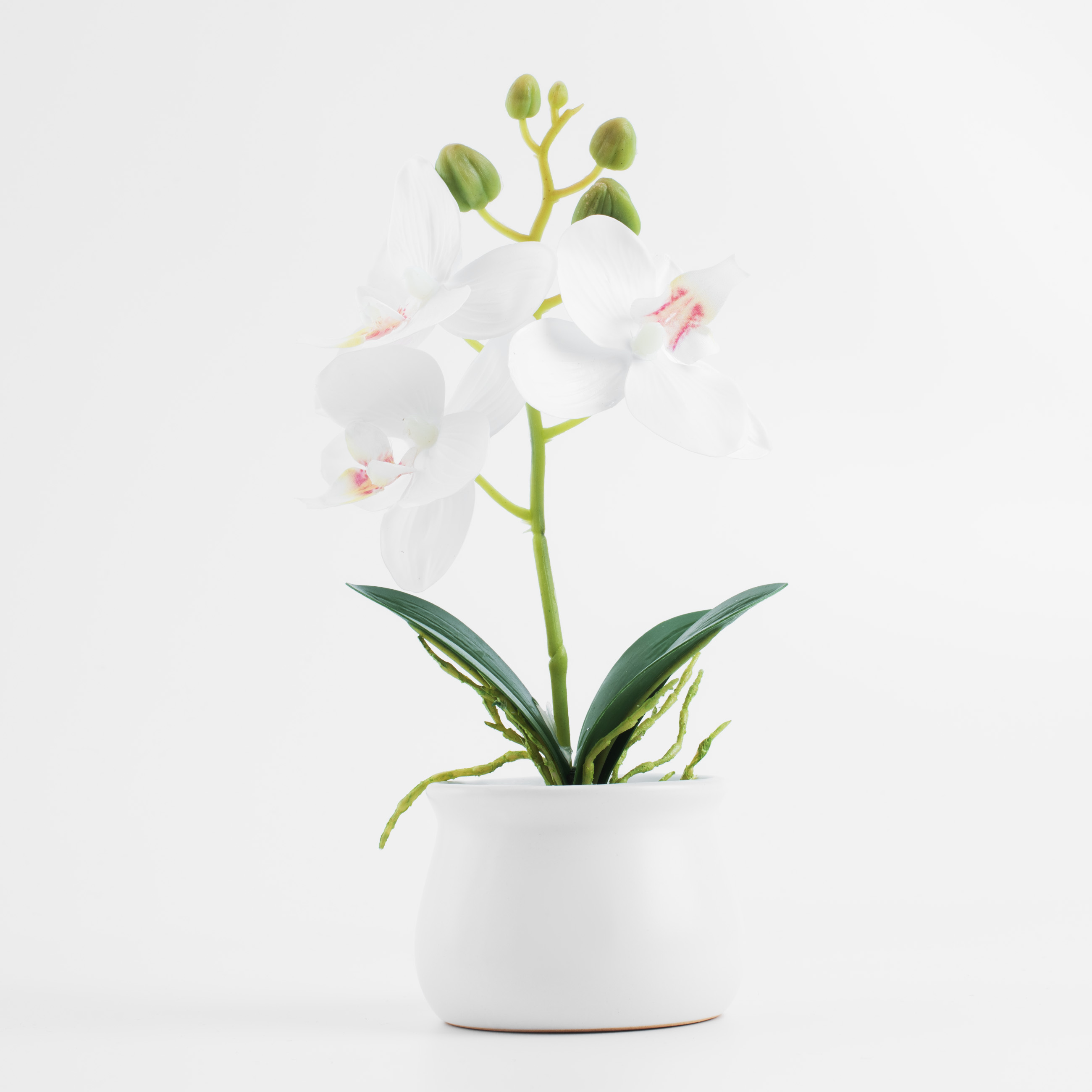 Растение искусственное, 25 см, в горшке, полиэстер/керамика, Белая орхидея, Orchid изображение № 4