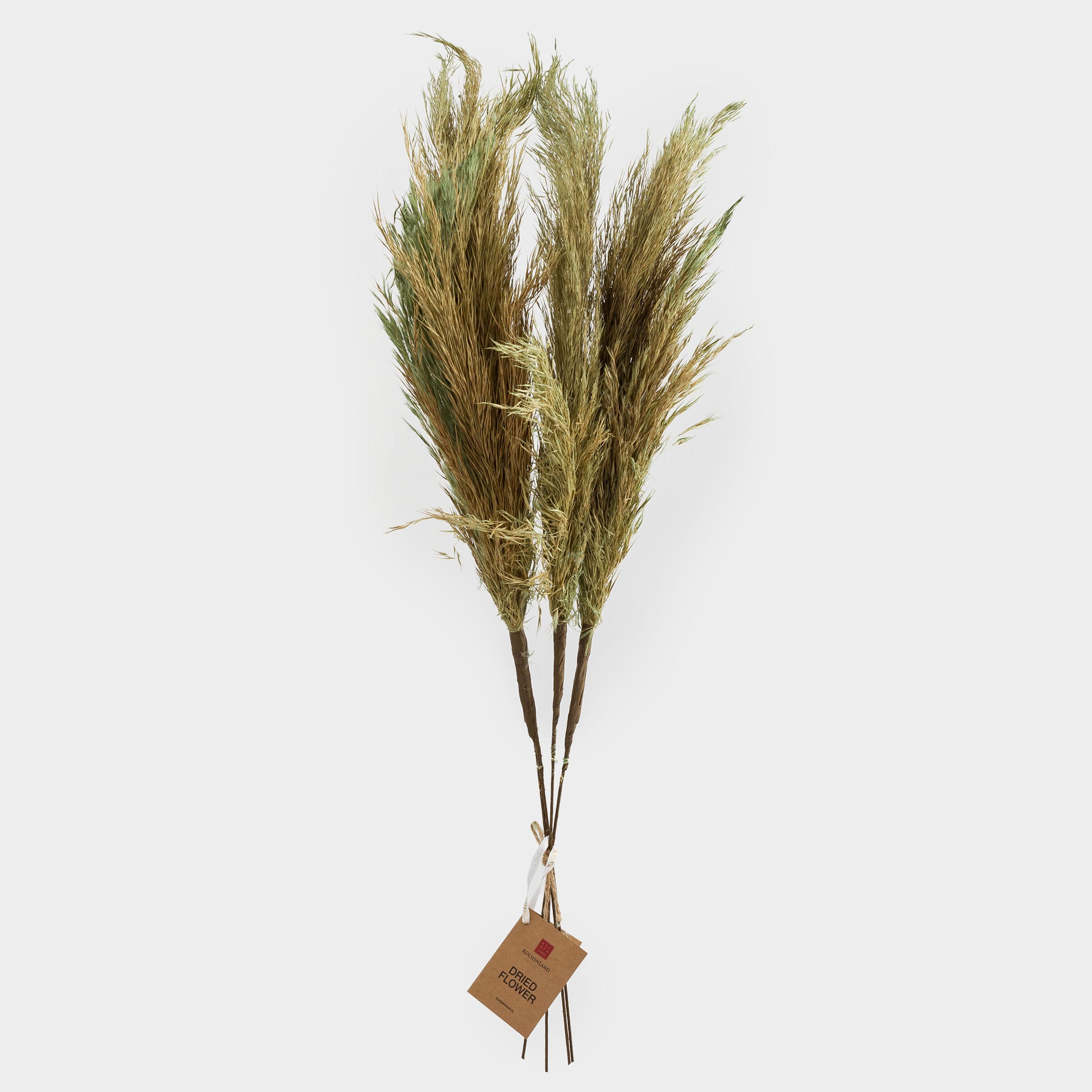 Ветка декоративная, 70 см, сухоцветы, Колосья, Dried flower, image-3