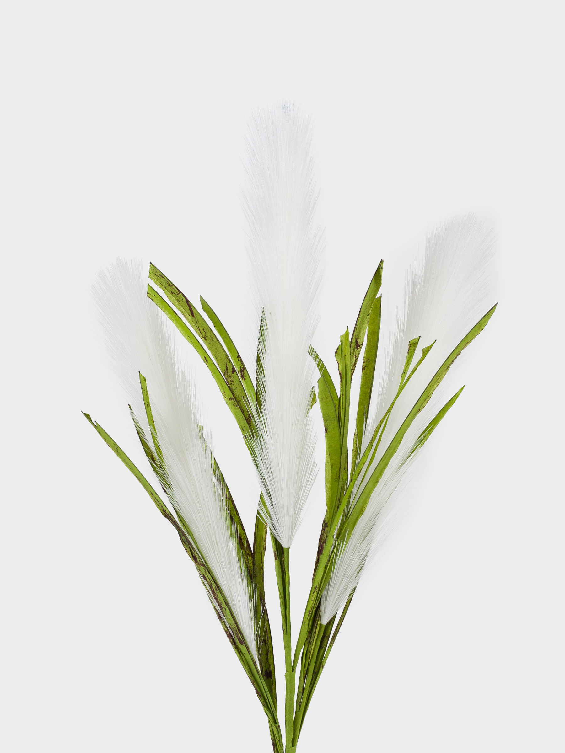 Ветка декоративная, 80 см, полиэстер/бумага, Белый камыш, Pampas, image-1