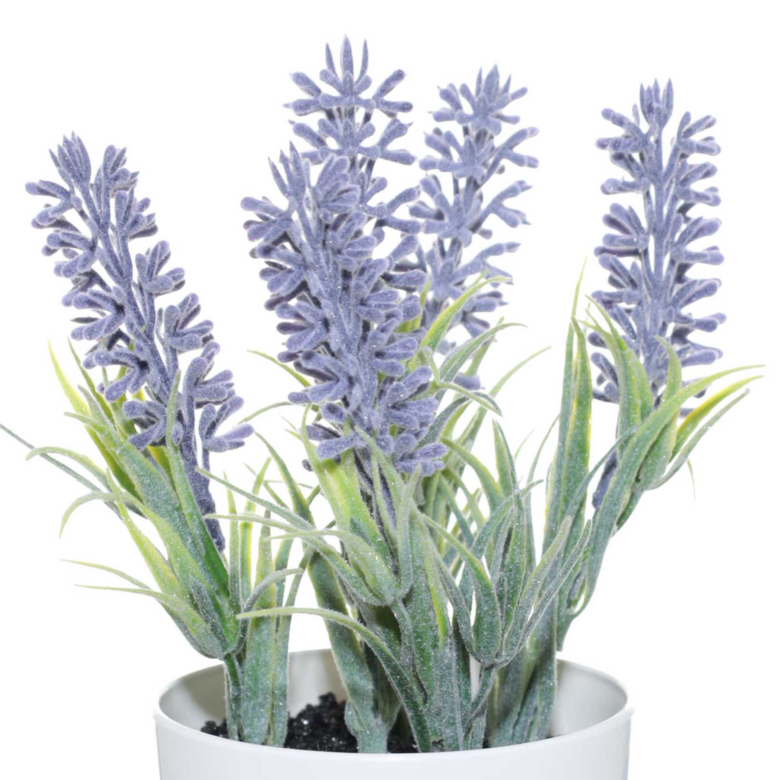Растение искусственное, 18 см, в горшке, пластик/металл, Лаванда, Lavender изображение № 2