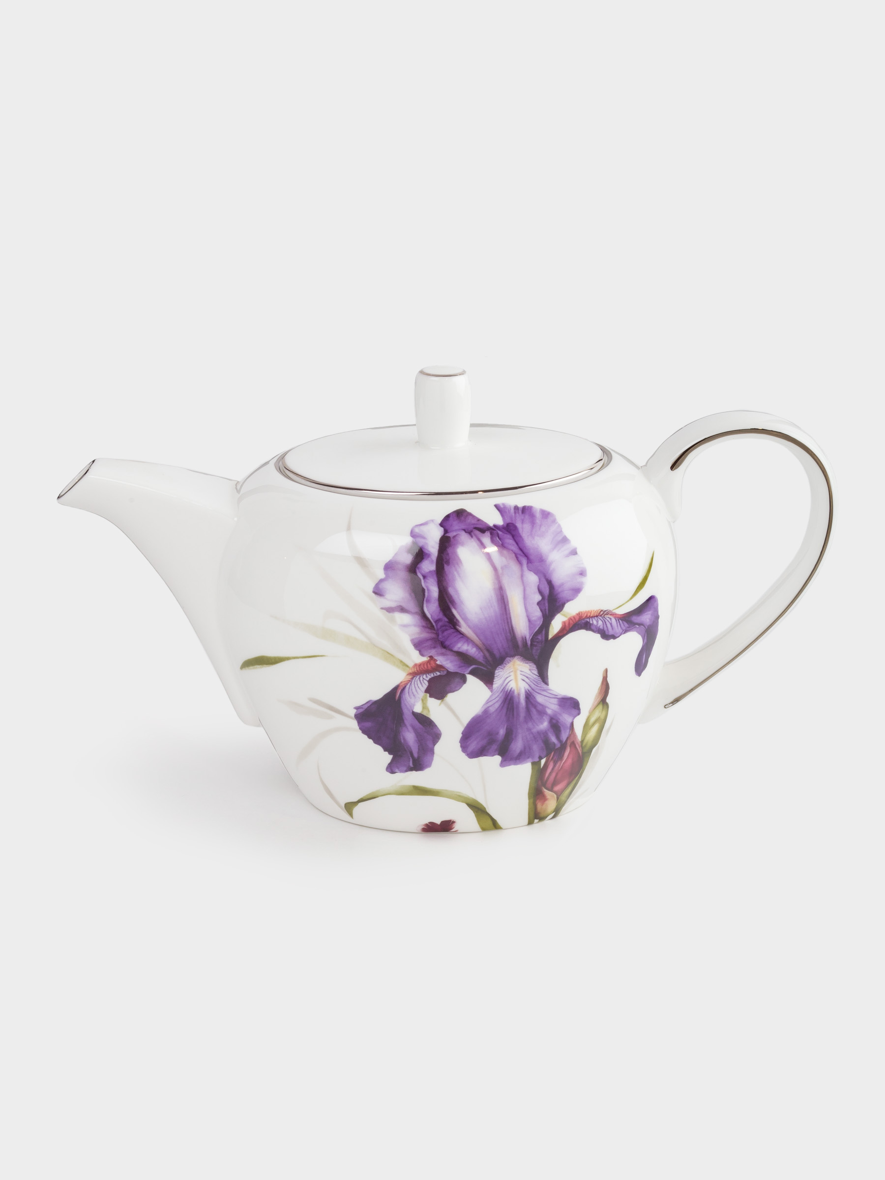 Чайник заварочный, 1,2 л, фарфор F, с серебристым кантом, Ирис, Antarctica Flowers, image-0