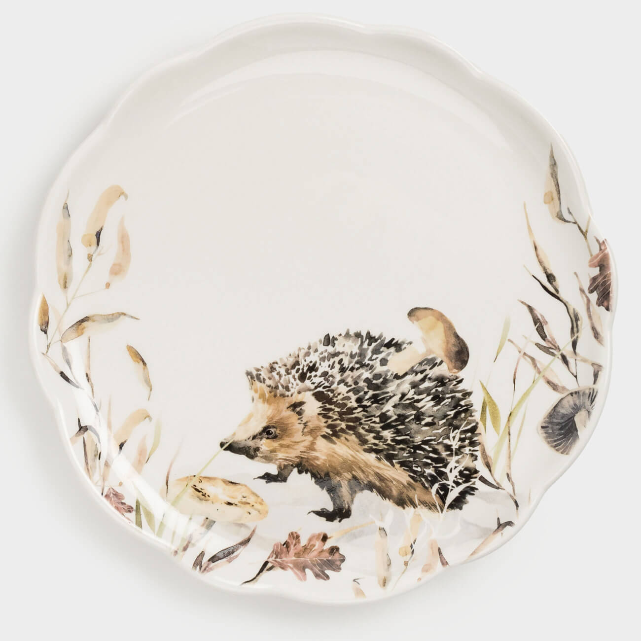 

Тарелка обеденная, 25 см, керамика, белая, Ежик в листьях с грибами, Hedgehog in leaves
