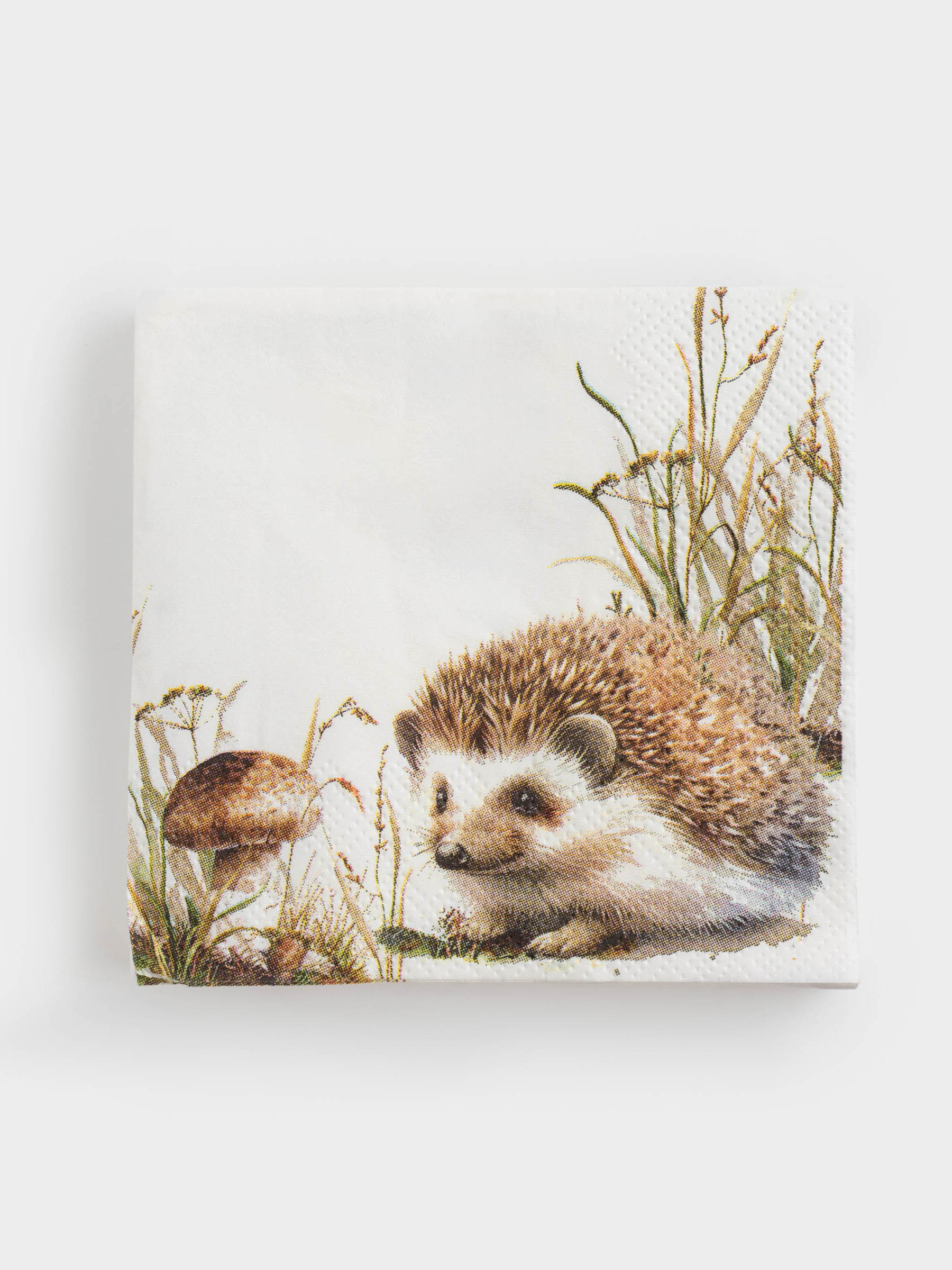 Салфетки бумажные, 21х21 см, 20 шт, квадратные, белые, Еж, Forest hedgehog, image-0