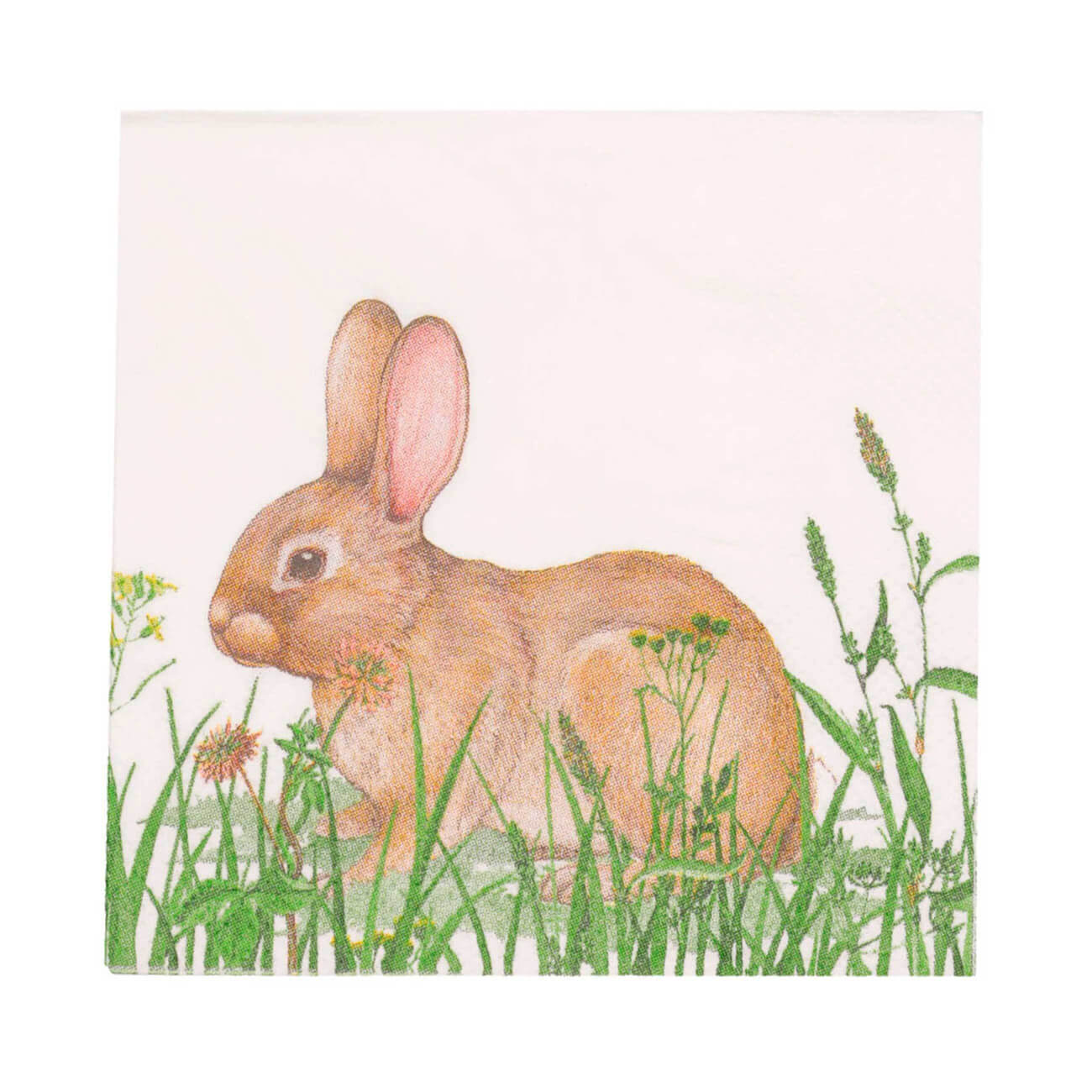 

Салфетки бумажные, 21х21 см, 20 шт, белые, Кролик на лужайке, Natural Easter