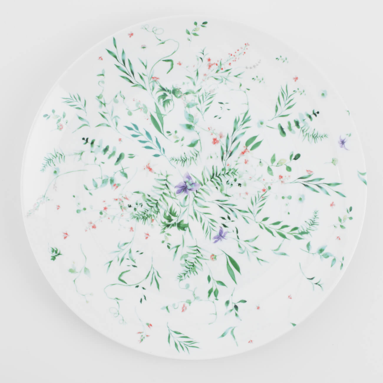 Тарелка обеденная, 27 см, фарфор N, Луговые цветы, Foliage