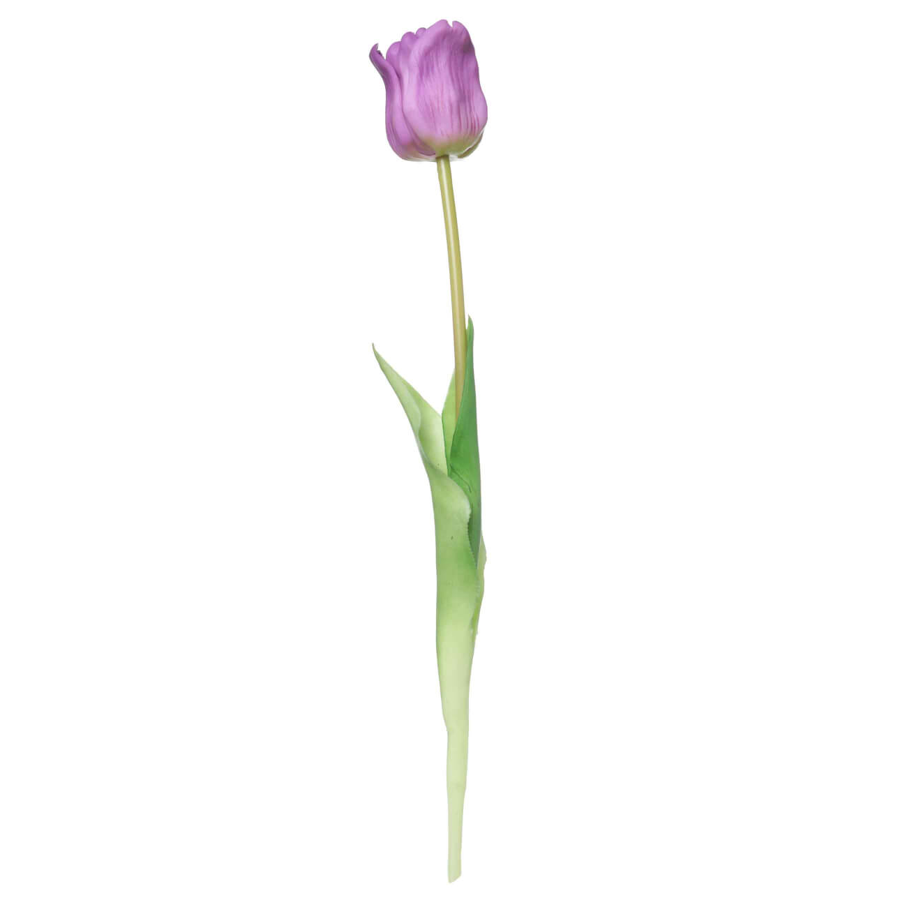 чашка 210 мл с блюдцем 145 мм tulip декор белоснежный тюльпан золотые держатели Цветок искусственный, 47 см, ТЭП, лиловый, Тюльпан, Tulip garden