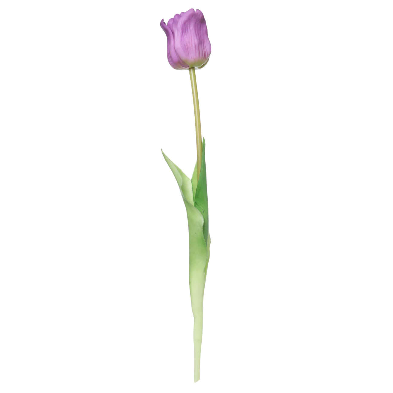 

Цветок искусственный, 47 см, ТЭП, лиловый, Тюльпан, Tulip garden