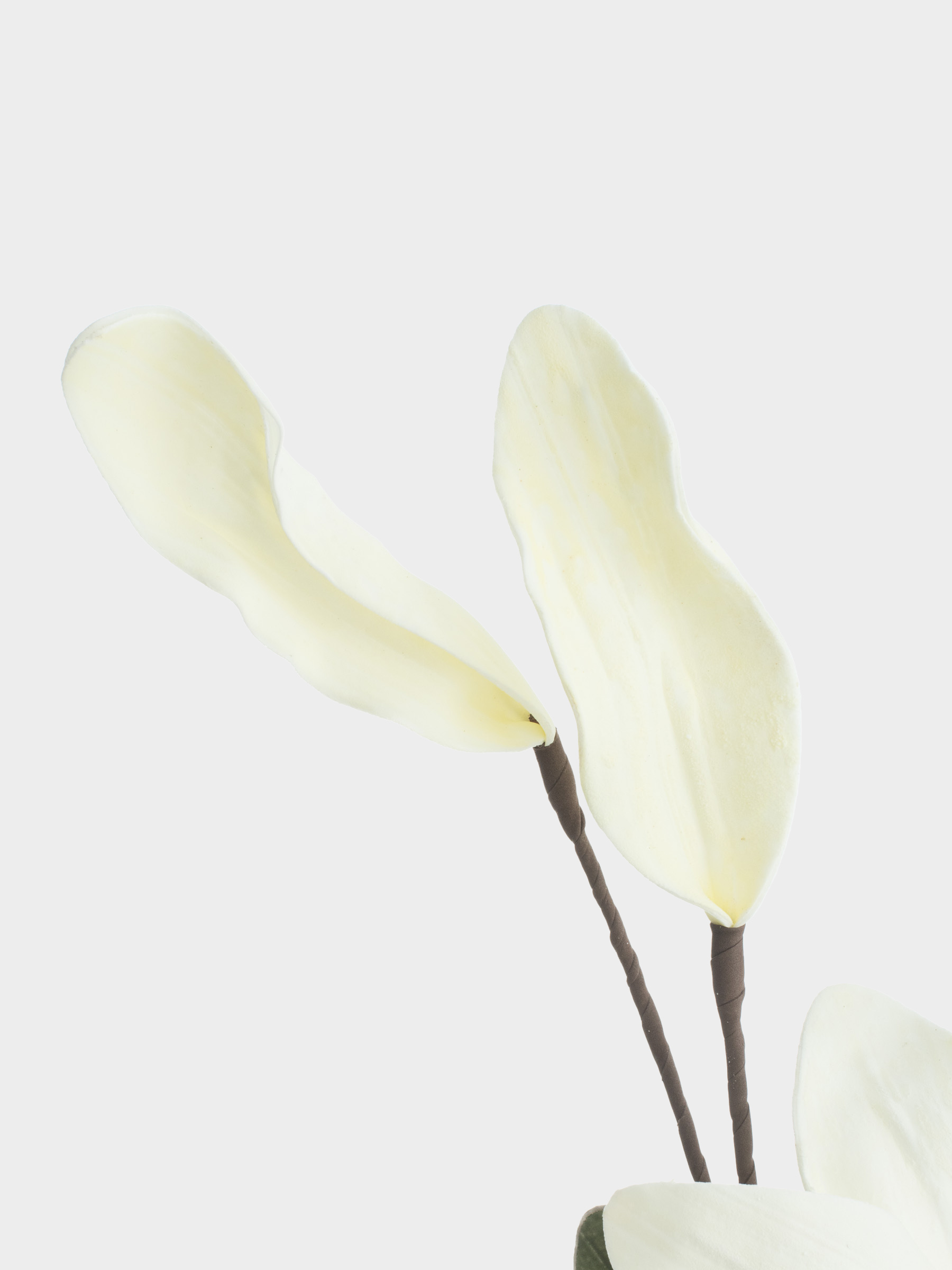 Ветка декоративная, 90 см, пластик/пенопласт, Молочная магнолия, Magnolia, image-2