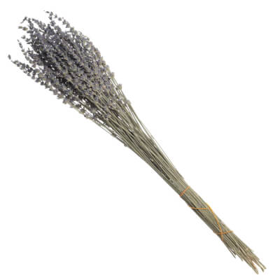 

Букет декоративный, 65 см, сухоцветы, Лаванда, Dried flower