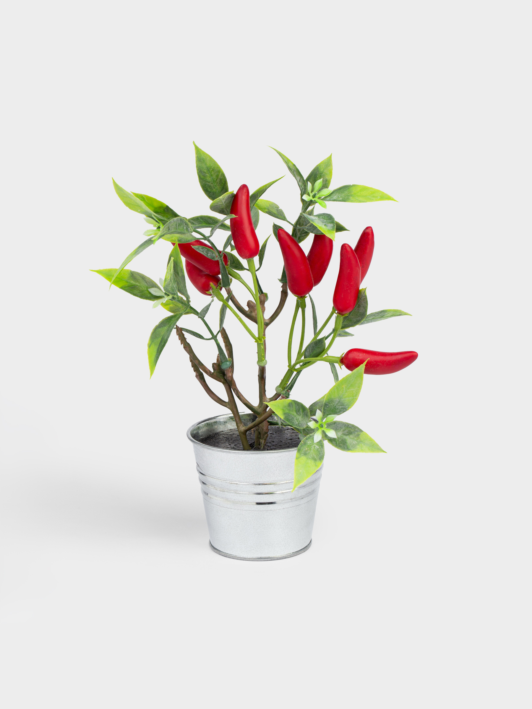 Композиция декоративная, в горшке, Vegetable shape