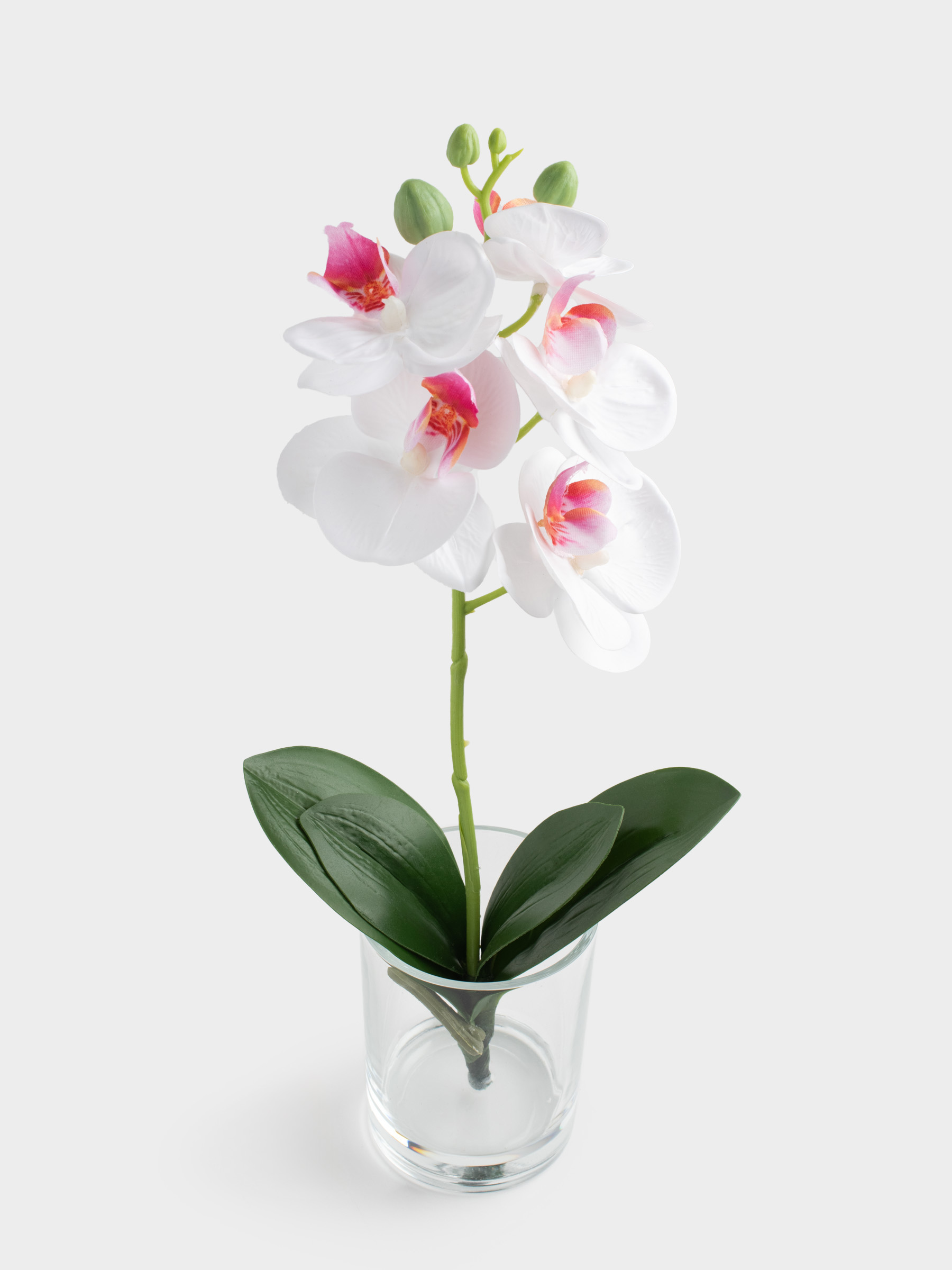 Букет искусственный, 26 см, в вазе, ТЭП/стекло, Белая орхидея, Orchid, image-1