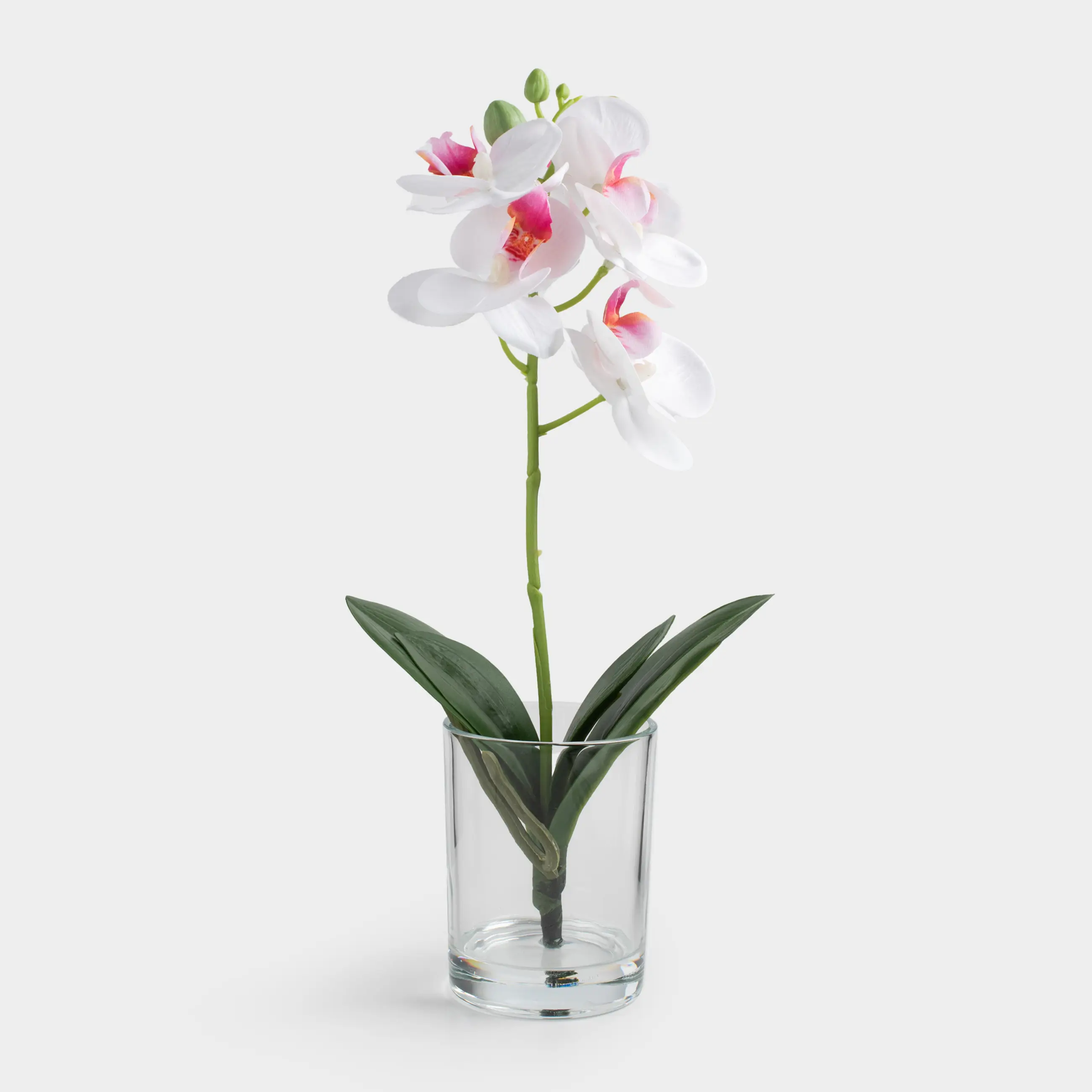 Букет искусственный, 26 см, в вазе, ТЭП/стекло, Белая орхидея, Orchid