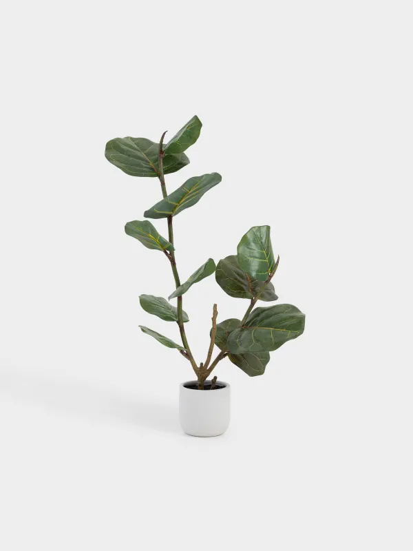 Растение искусственное, 85 см, в горшке, пластик, Фикус, Pot garden, image-1