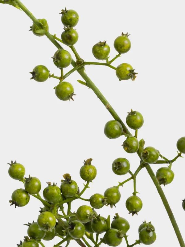 Ветка декоративная, 1 м, пенопласт/пластик, Зеленые ягоды, Balls decor, image-3