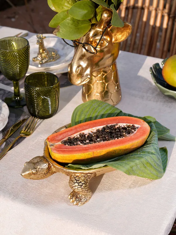 Блюдо декоративное, 31х18 см, Черепаха, Coast, image-7