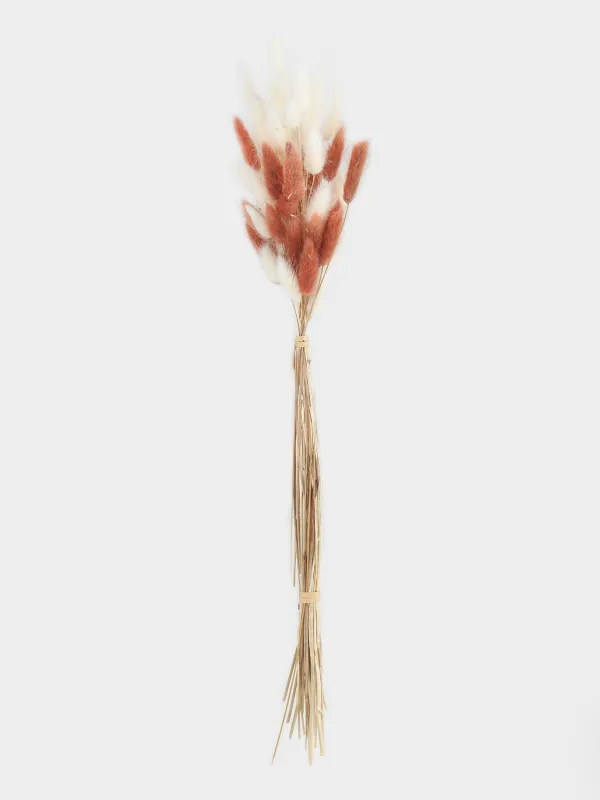 Букет декоративный, 60 см, Колоски, Dried flower, image-0