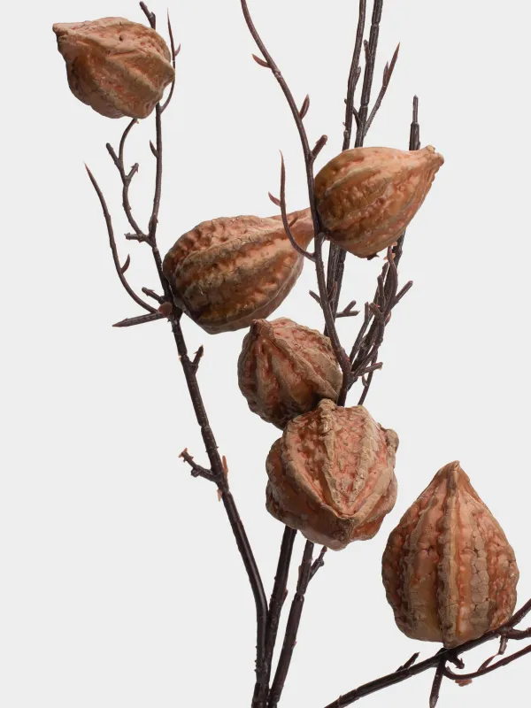 Ветка декоративная, 92 см, Коричневый физалис, Fruit decor, image-2