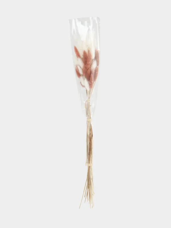 Букет декоративный, 60 см, Колоски, Dried flower, image-2