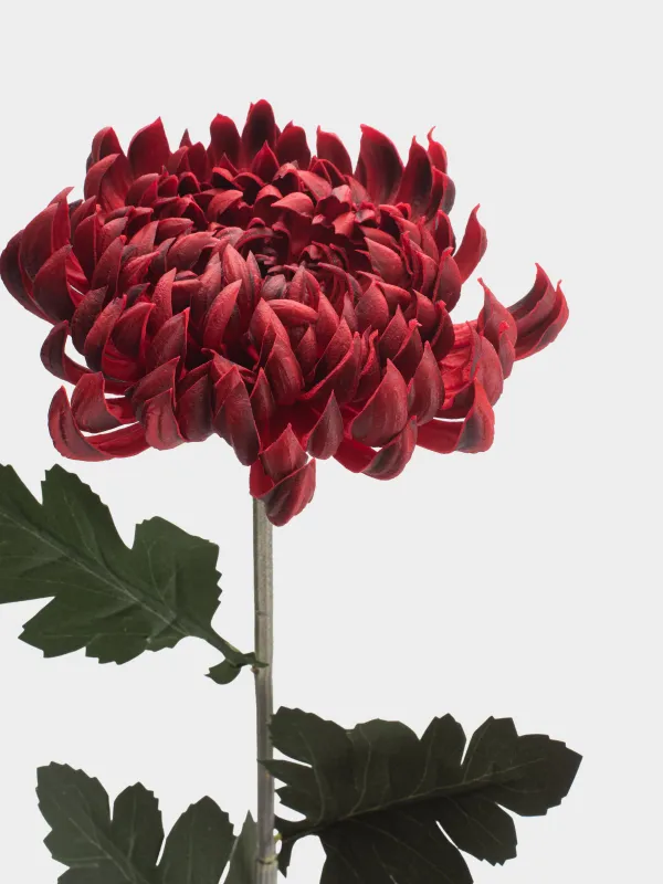 Цветок искусственный, 73 см, Красная хризантема, Flower garden, image-2