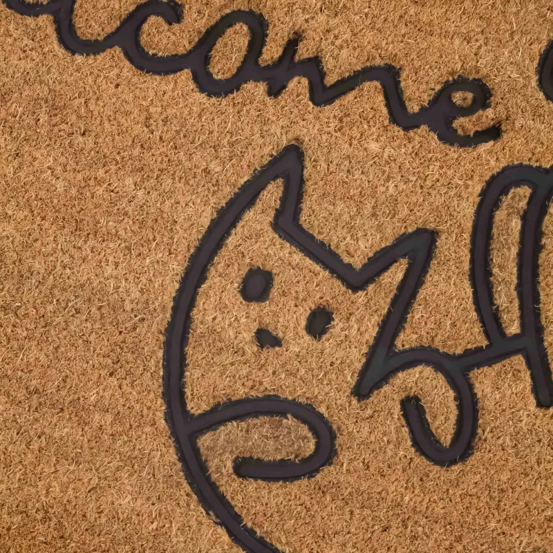 Коврик придверный, 40х60 см, кокос/ПВХ, бежевый, Кот, Home deco, image-5