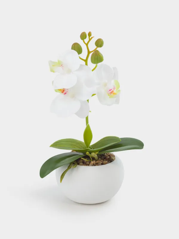 Растение искусственное, 22 см, термопластичная резина/керамика, Orchid, image-0