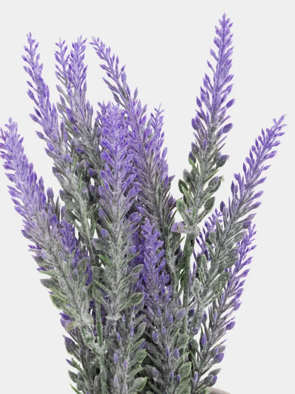 Растение искусственное, 26 см, New bunch, image-2